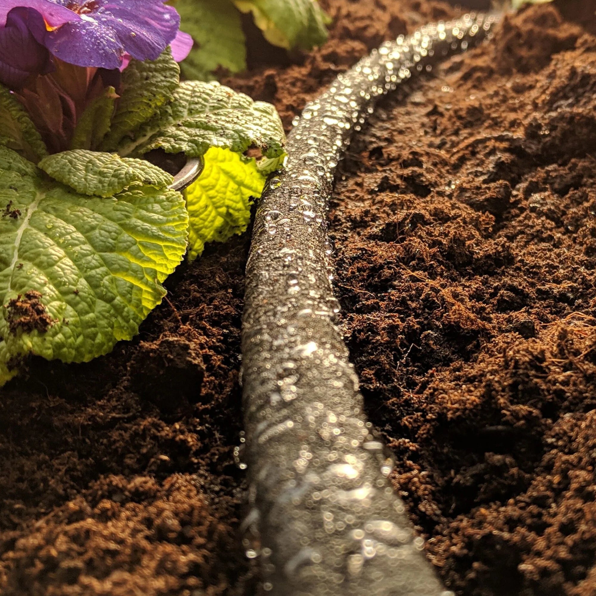 Hozelock Porous Soaker Hose