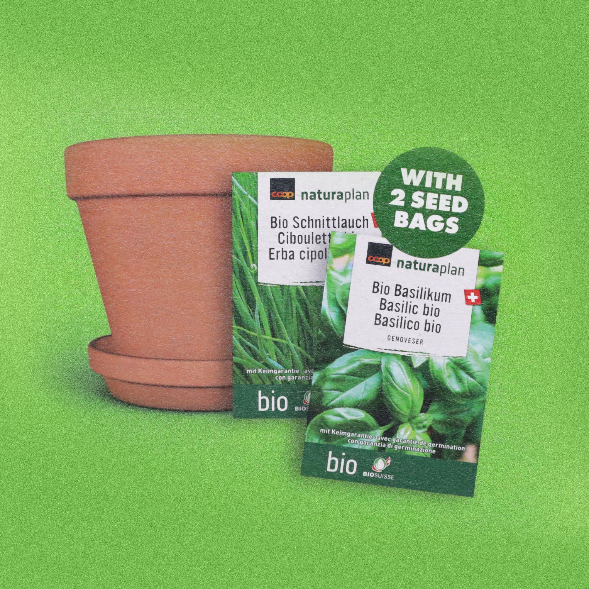 Terracotta Plant Pot Set