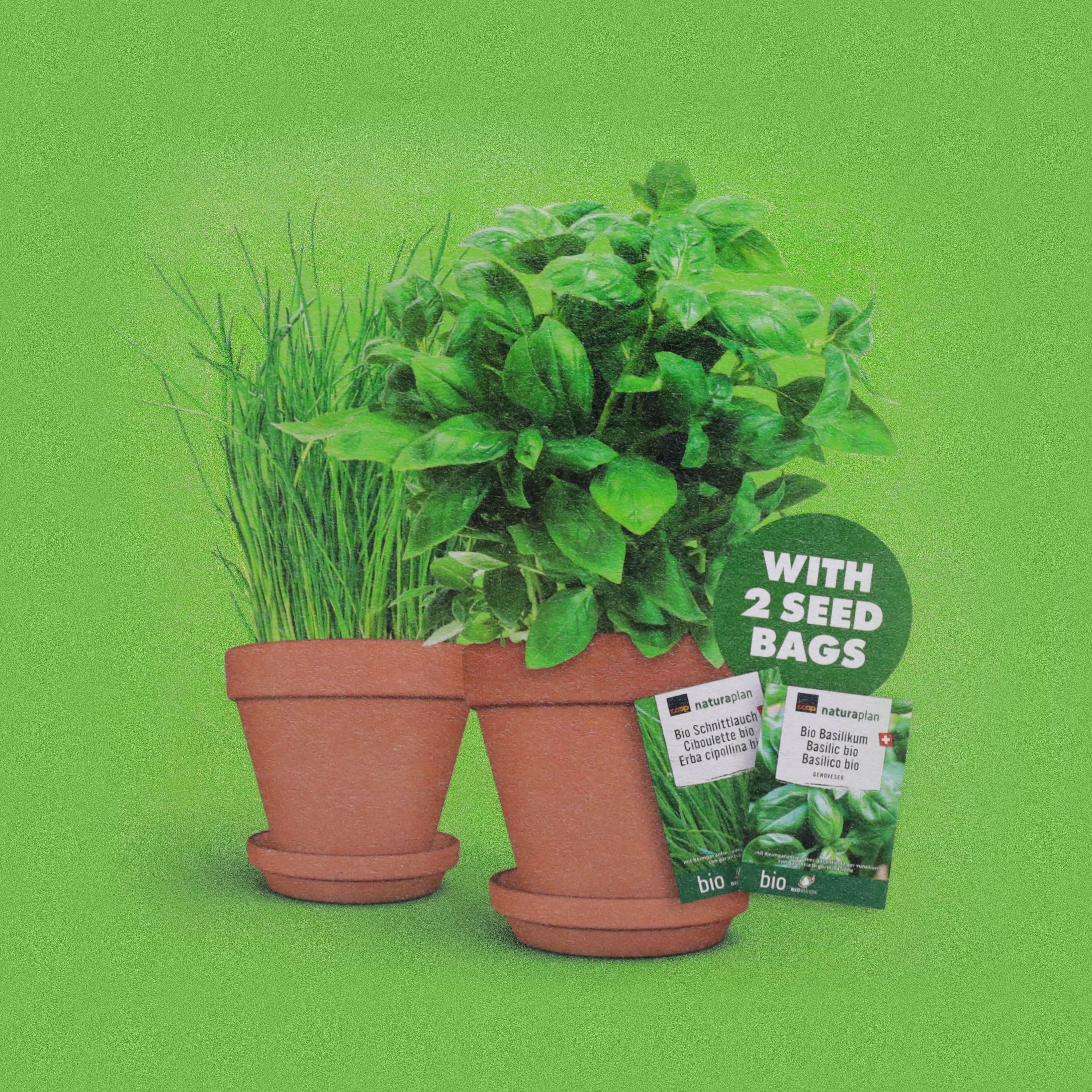 Terracotta Plant Pot Set