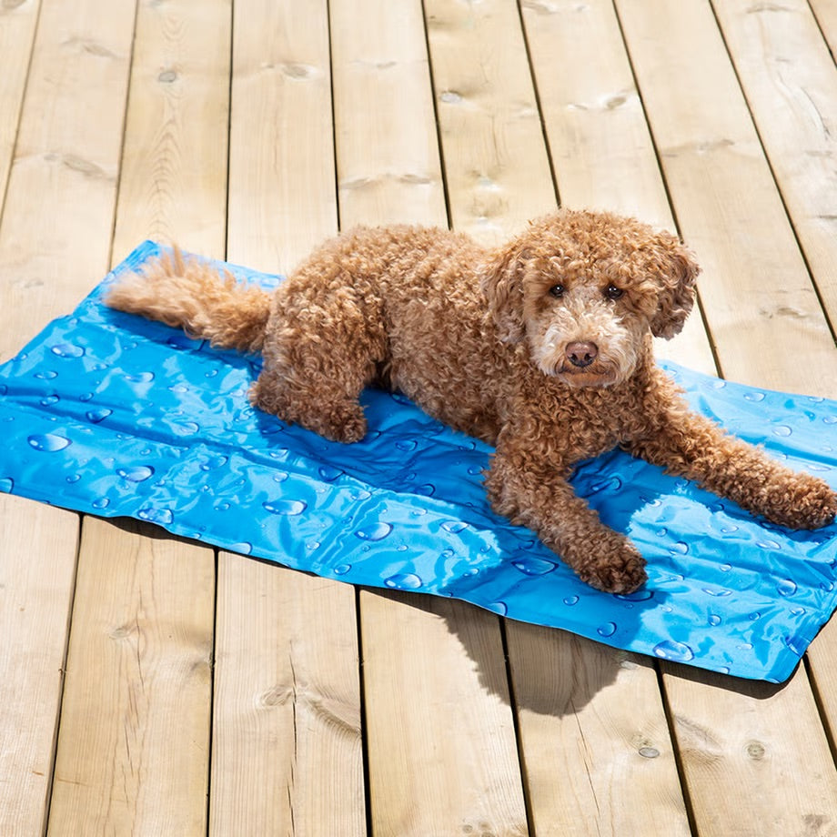 Dogman Cooling Mat 50 x 90cm various colours