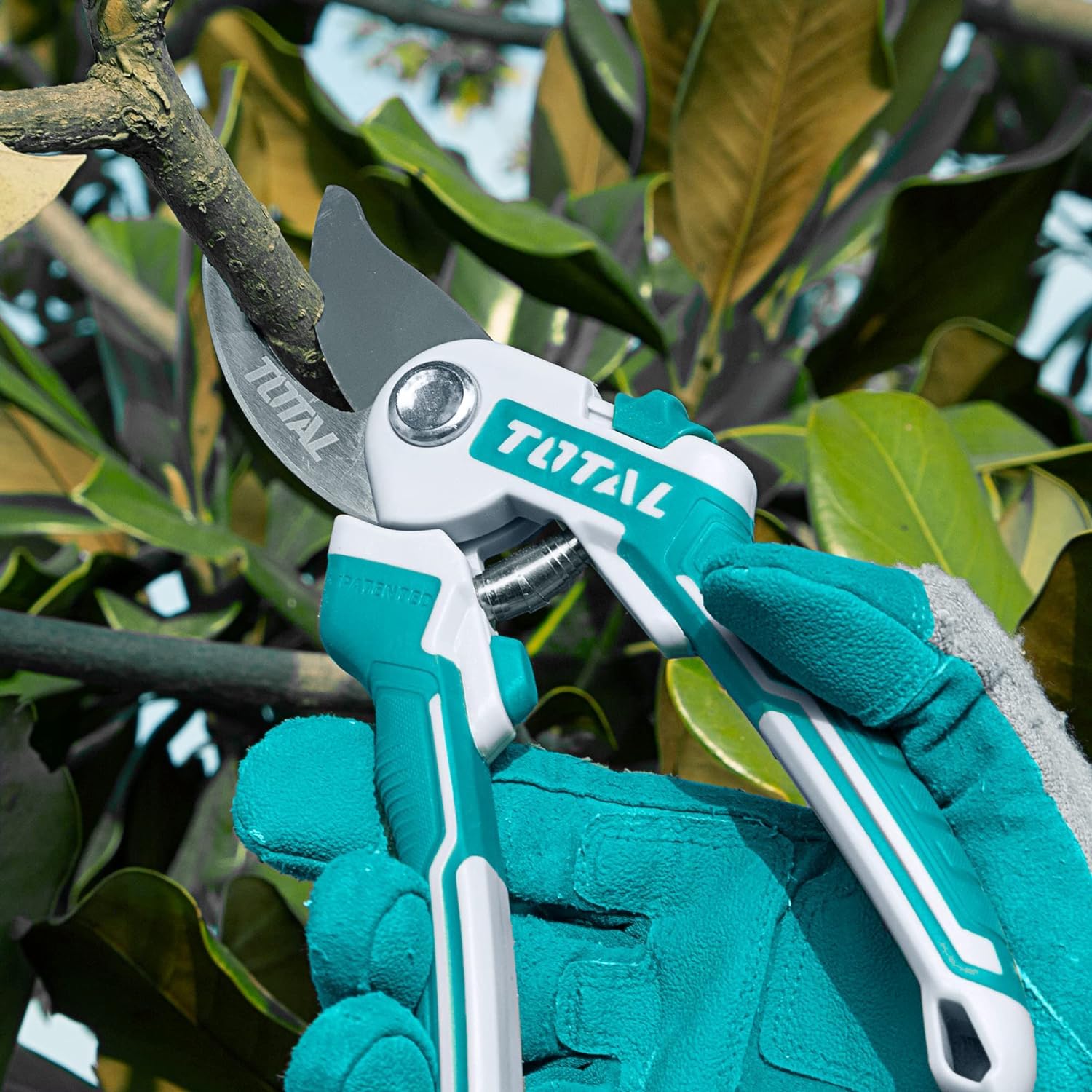 Total 3pc Garden Shears Set - THT1576033