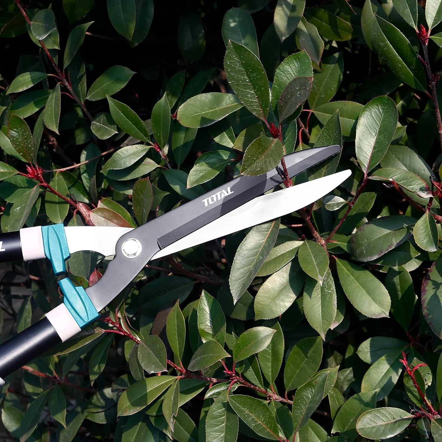 Total 3pc Garden Shears Set - THT1576033