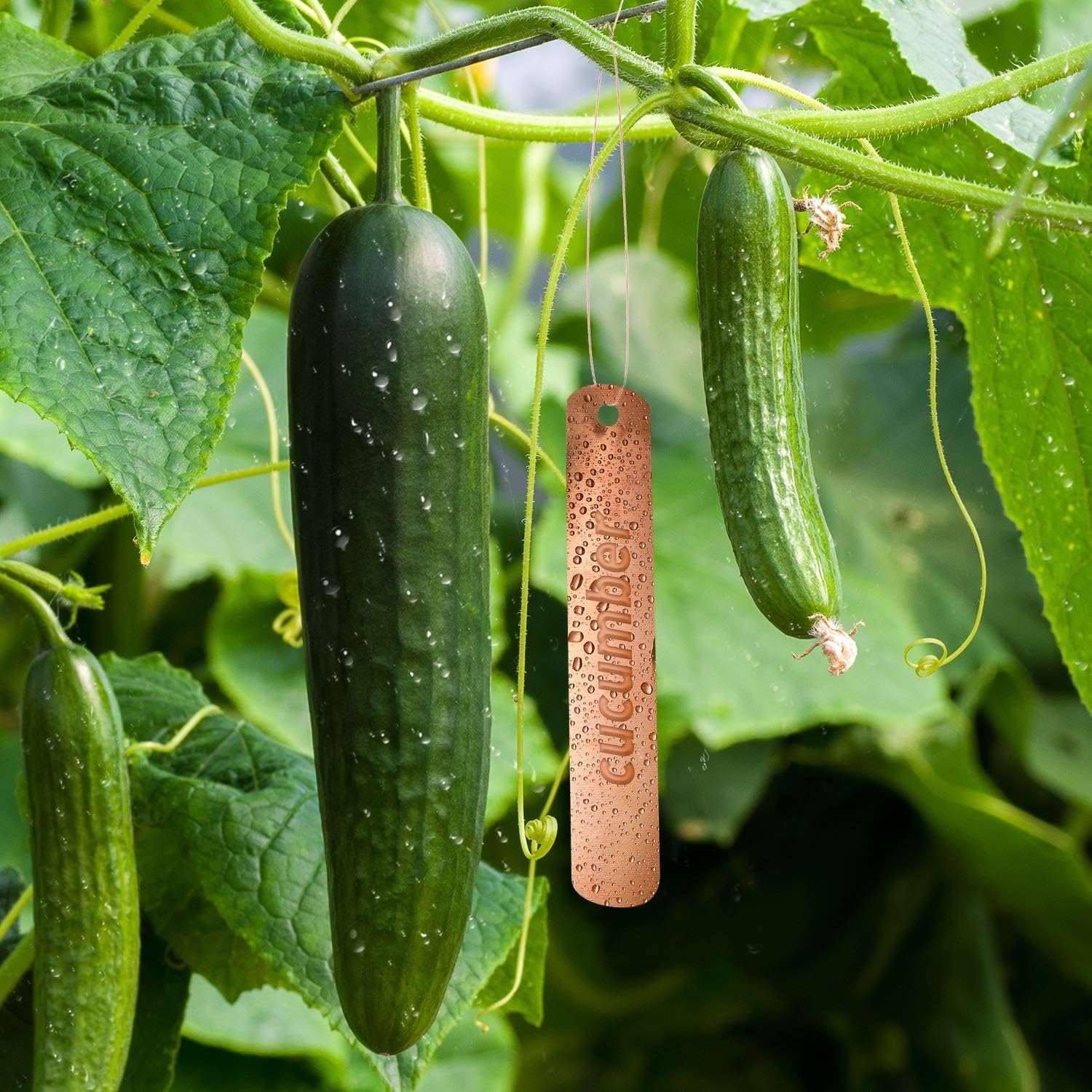 Copper Labels and Ties - 20pcs