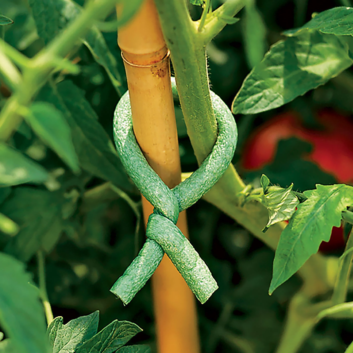 The Good Life 20cm Foam Ties - 20 Pack