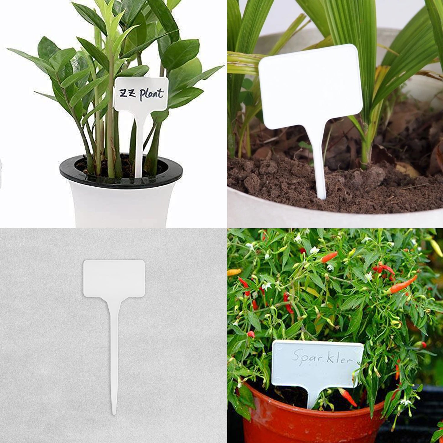 The Good Life 'T' Labels pack of 10