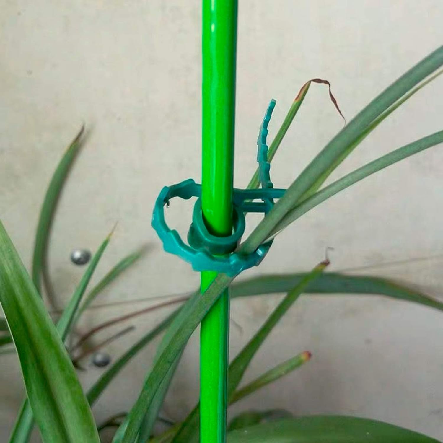 The Good Life 130mm Adjustable Plant Ties - 50 Pack