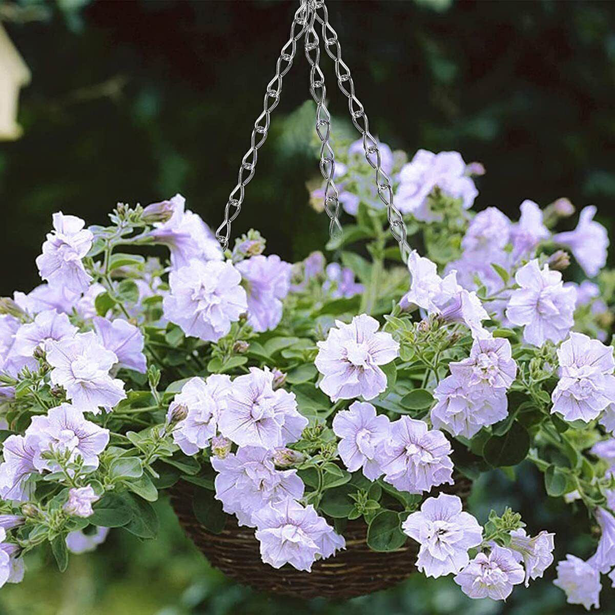 Hanging Basket Chain 40cm / 16"