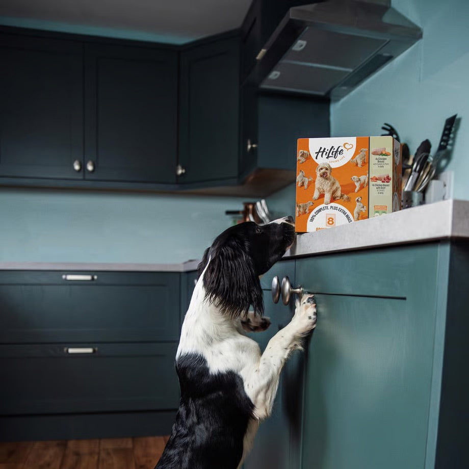 HiLife Adult Dog Food Pouches - 8pcs