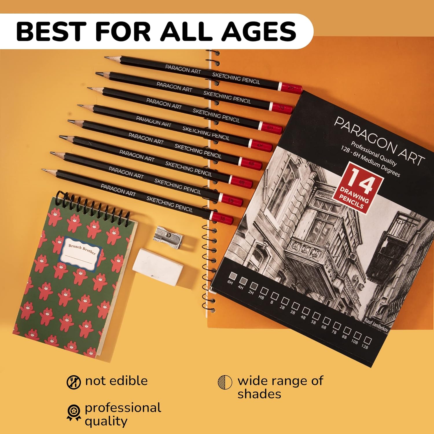 PARAGON ART 14 Sketching Pencils, Drawing Pencils For Artists (12B-6H)