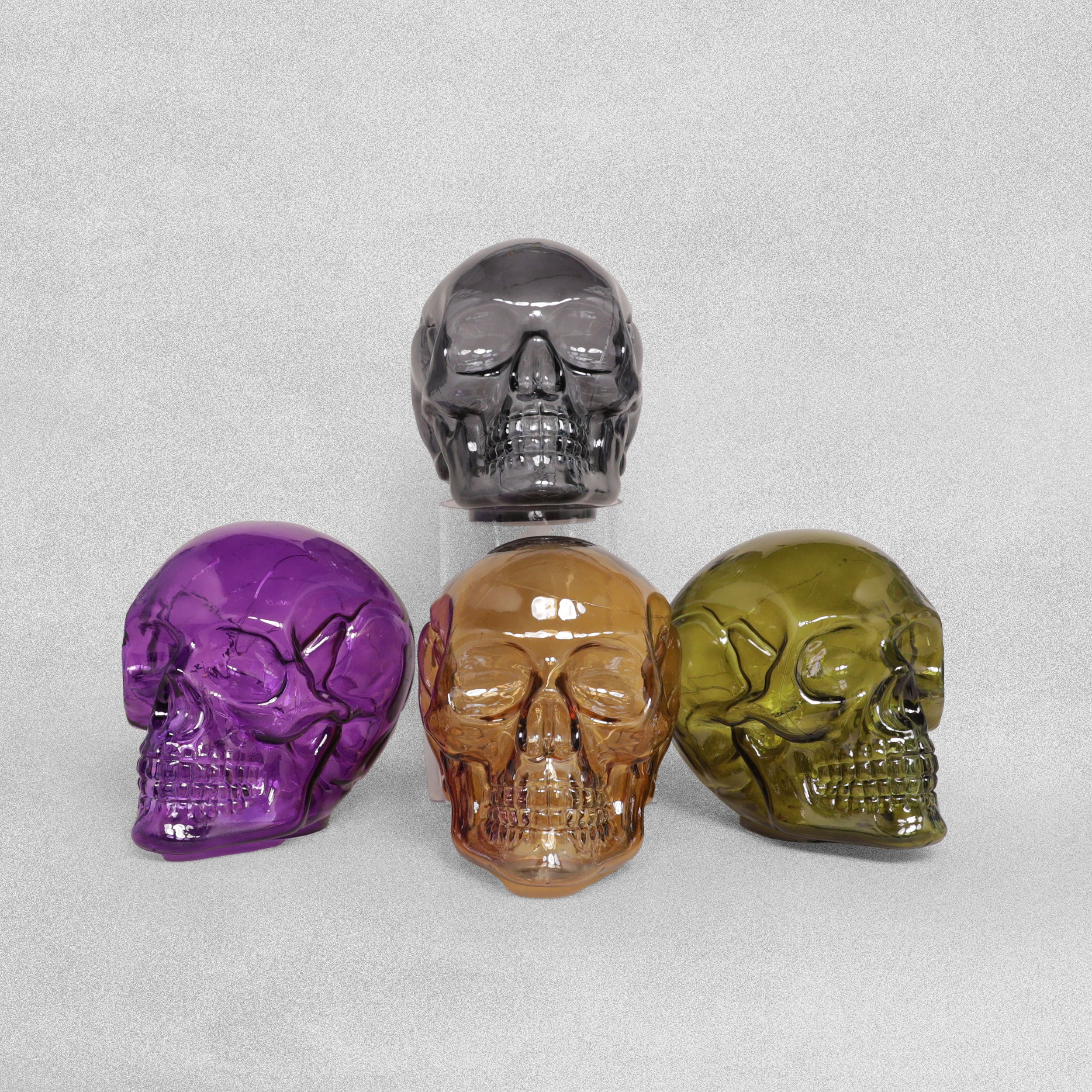 David Fischhoff LED Glass Decorative Skull - Various Colours