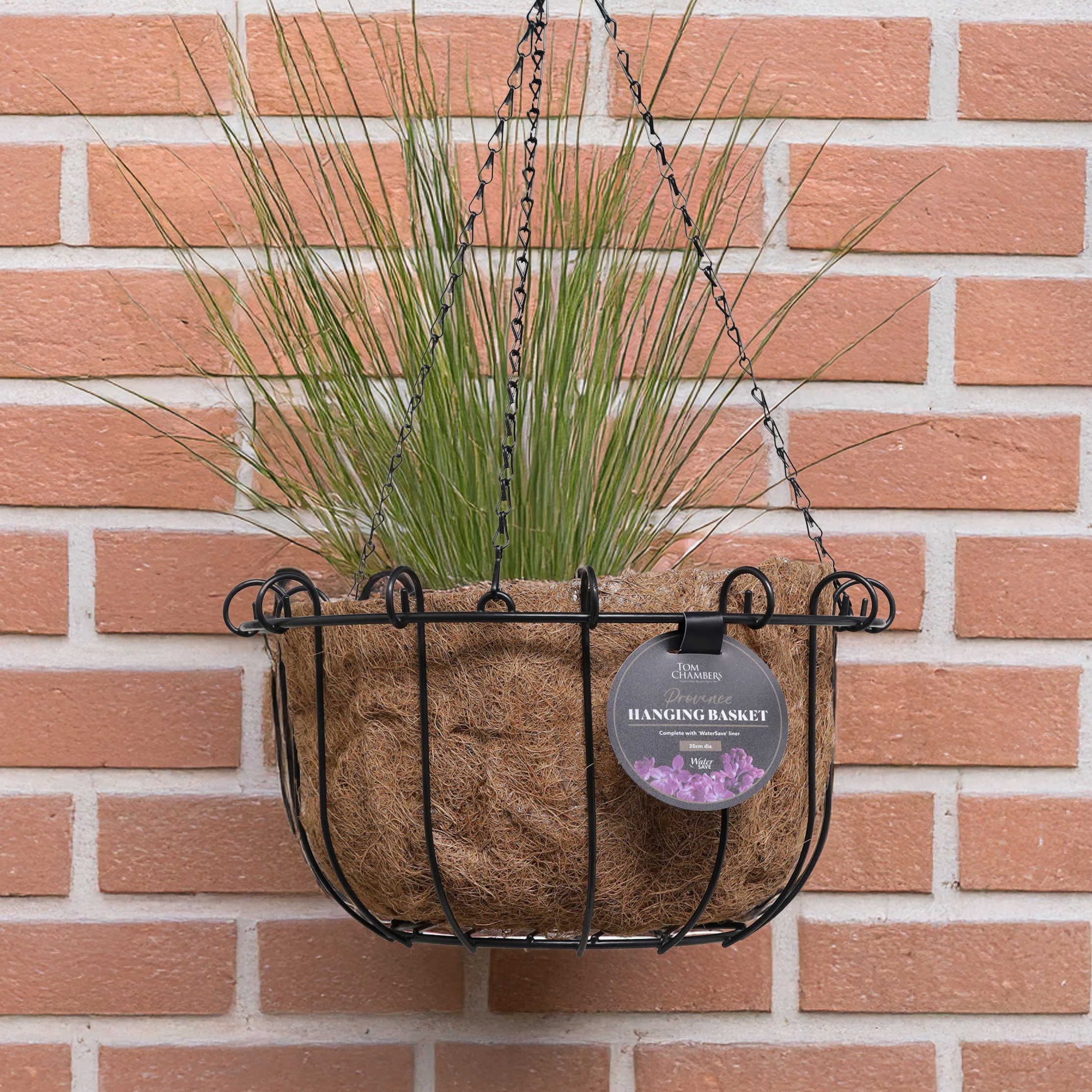 Tom Chambers 14" / 35cm 'Provence' Hanging Basket