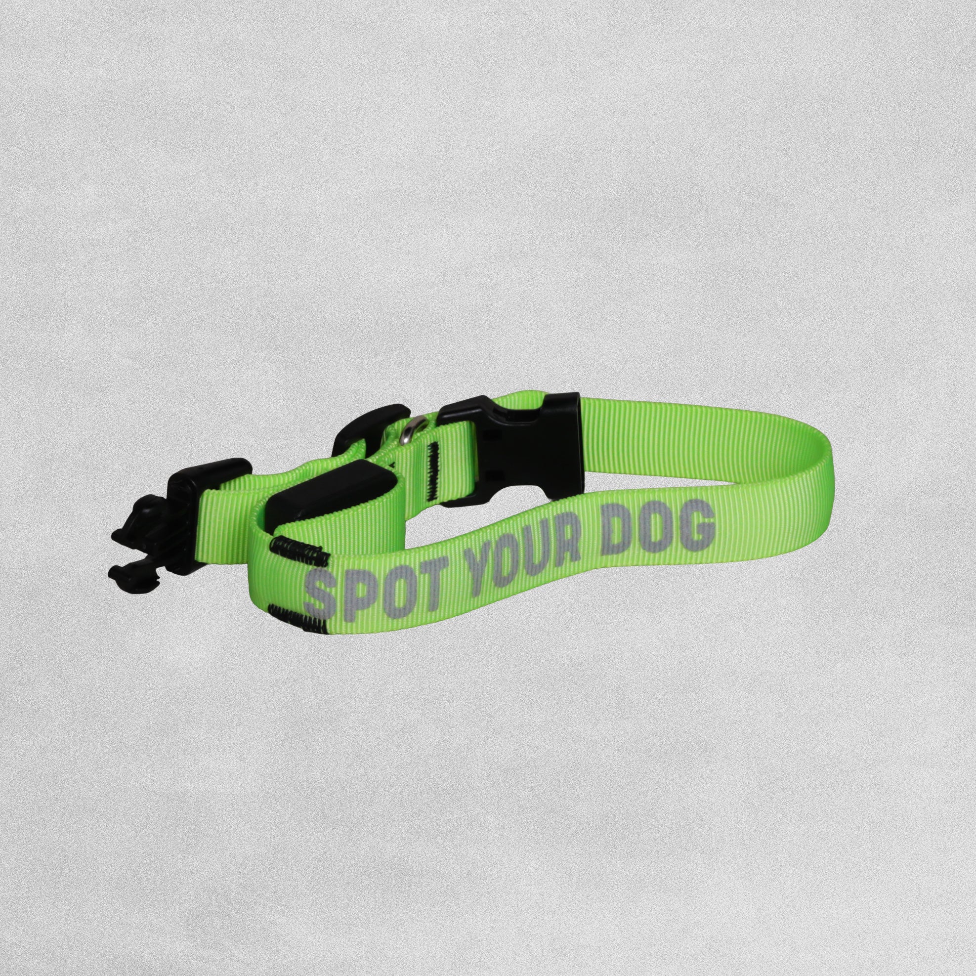 Wild & Woofy Glow in The Dark Dog Walking Kit- Light Up Collar and Glow in the Dark Ball.