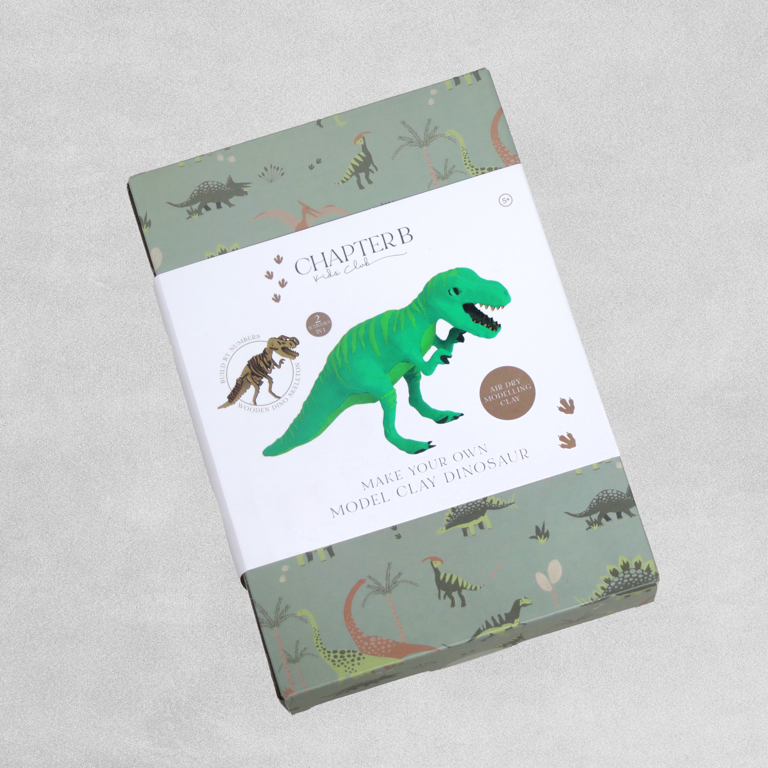 Chapter B Kids Club Make Your Own Model Clay Dinosaur - Various Dino's