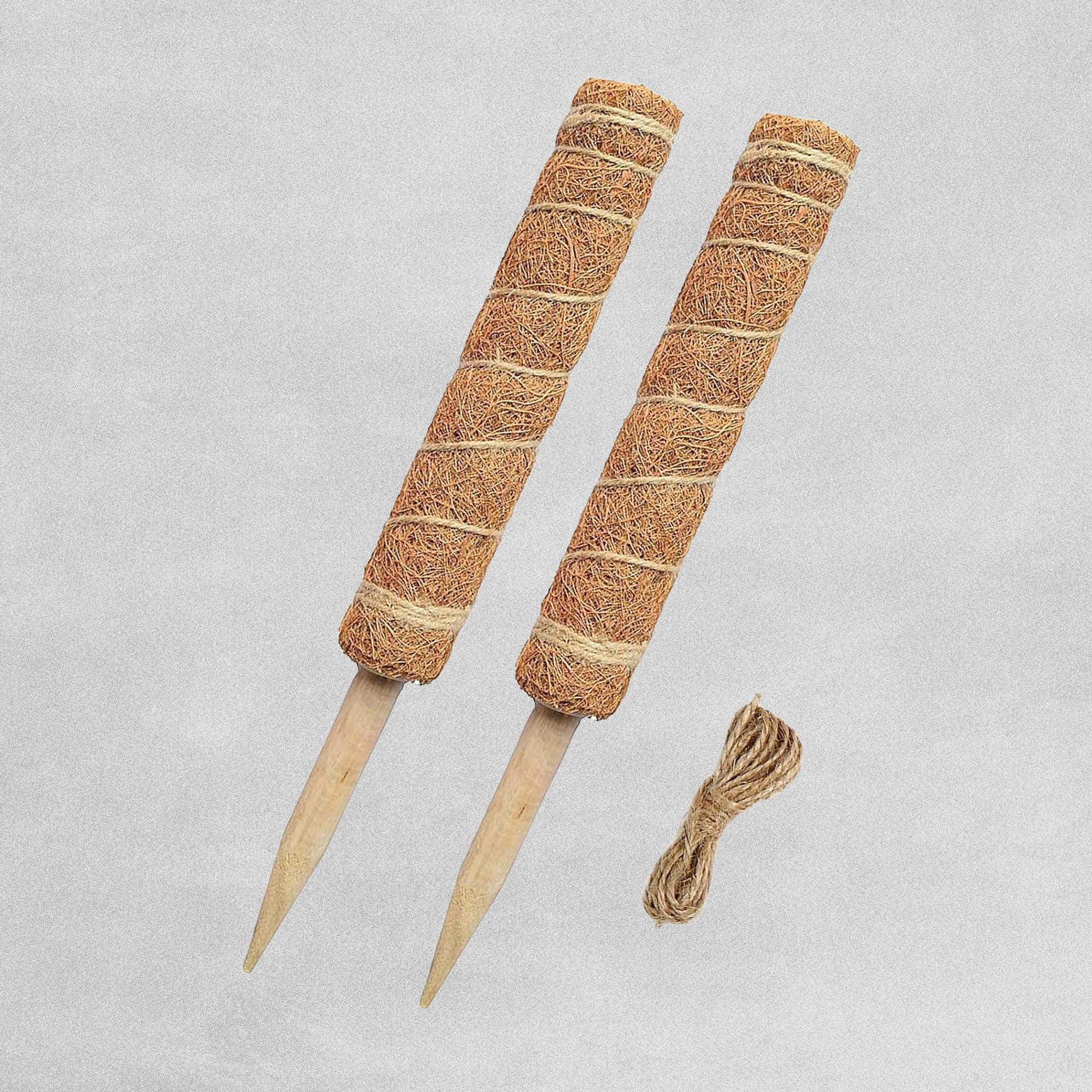 Diyar Moss Poles - pack of 2