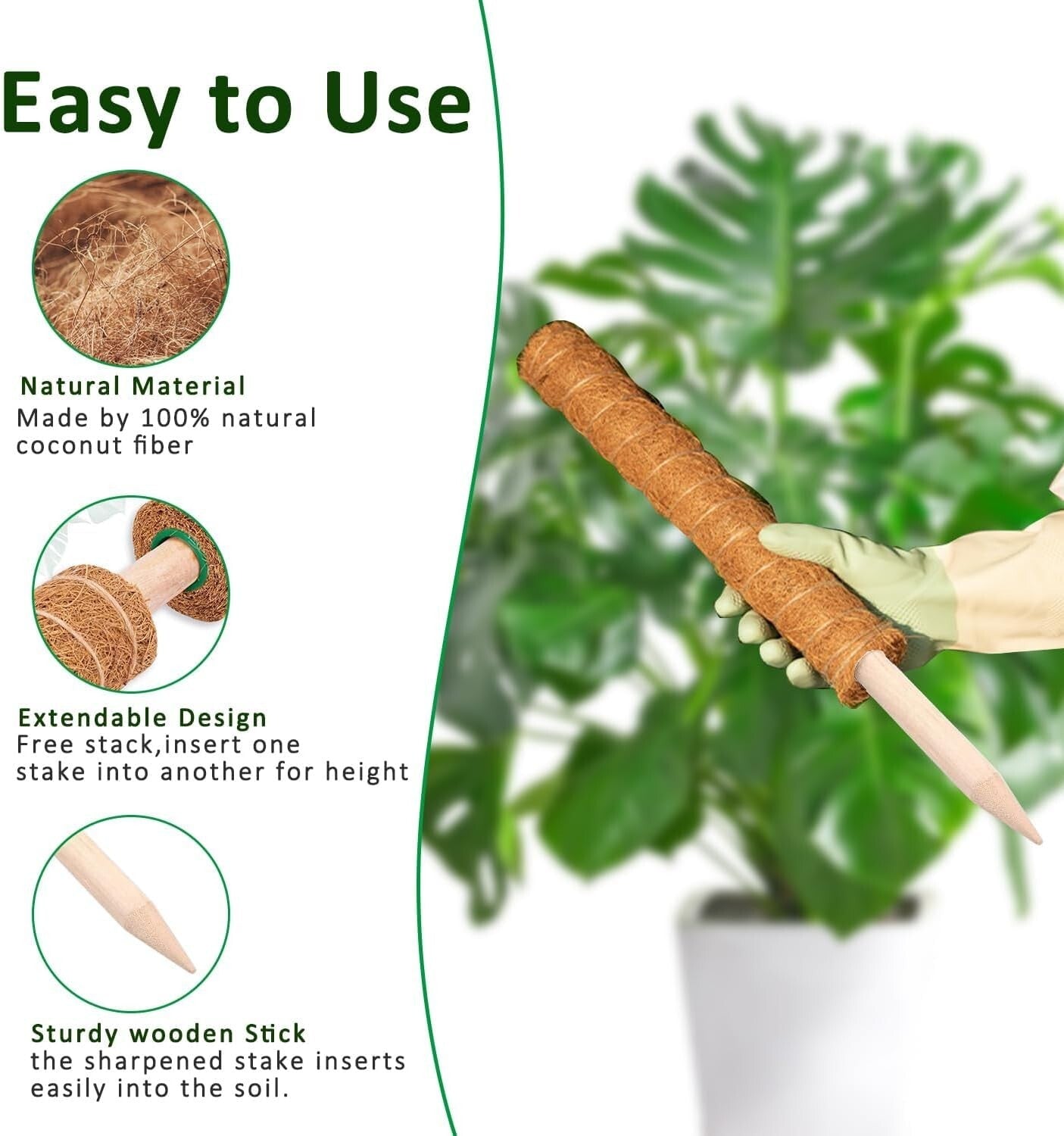 Diyar Moss Poles - pack of 2