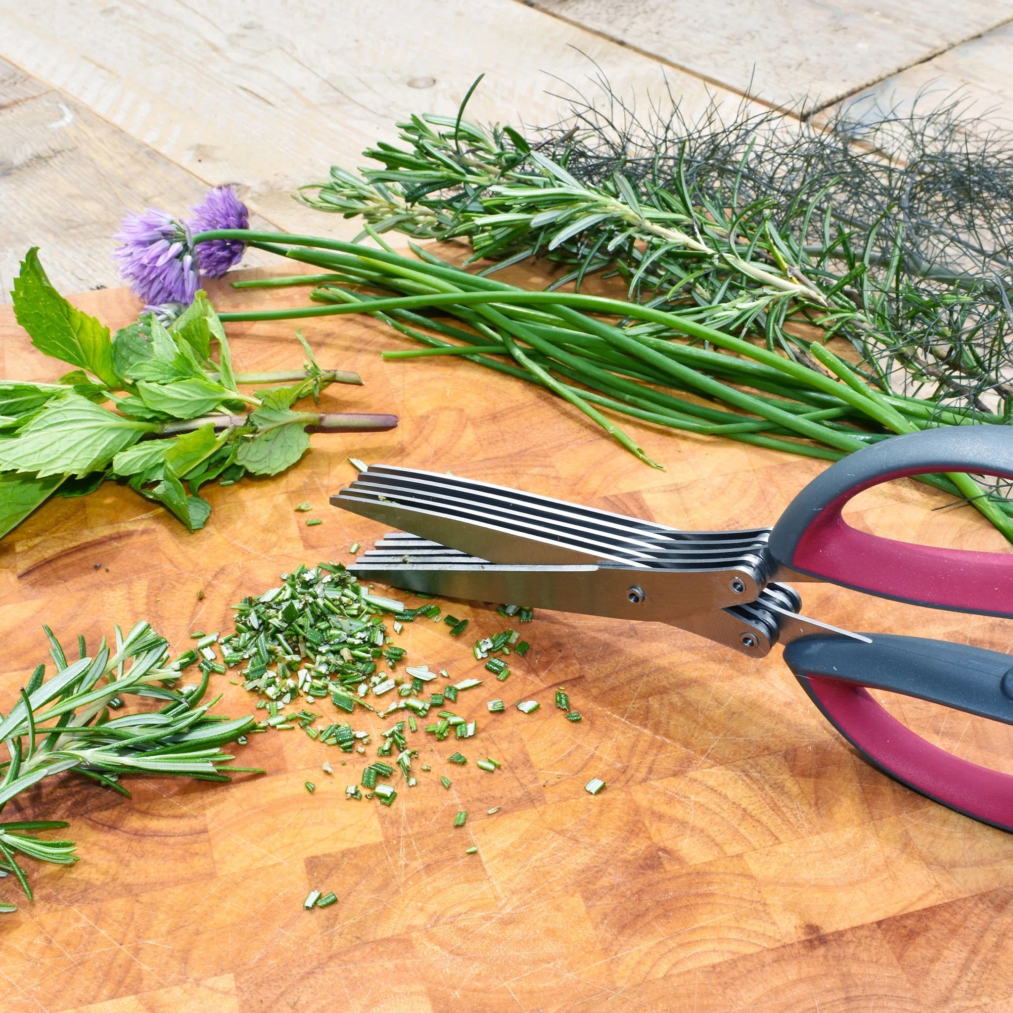 Kent & Stowe Multi-blade Herb Scissors
