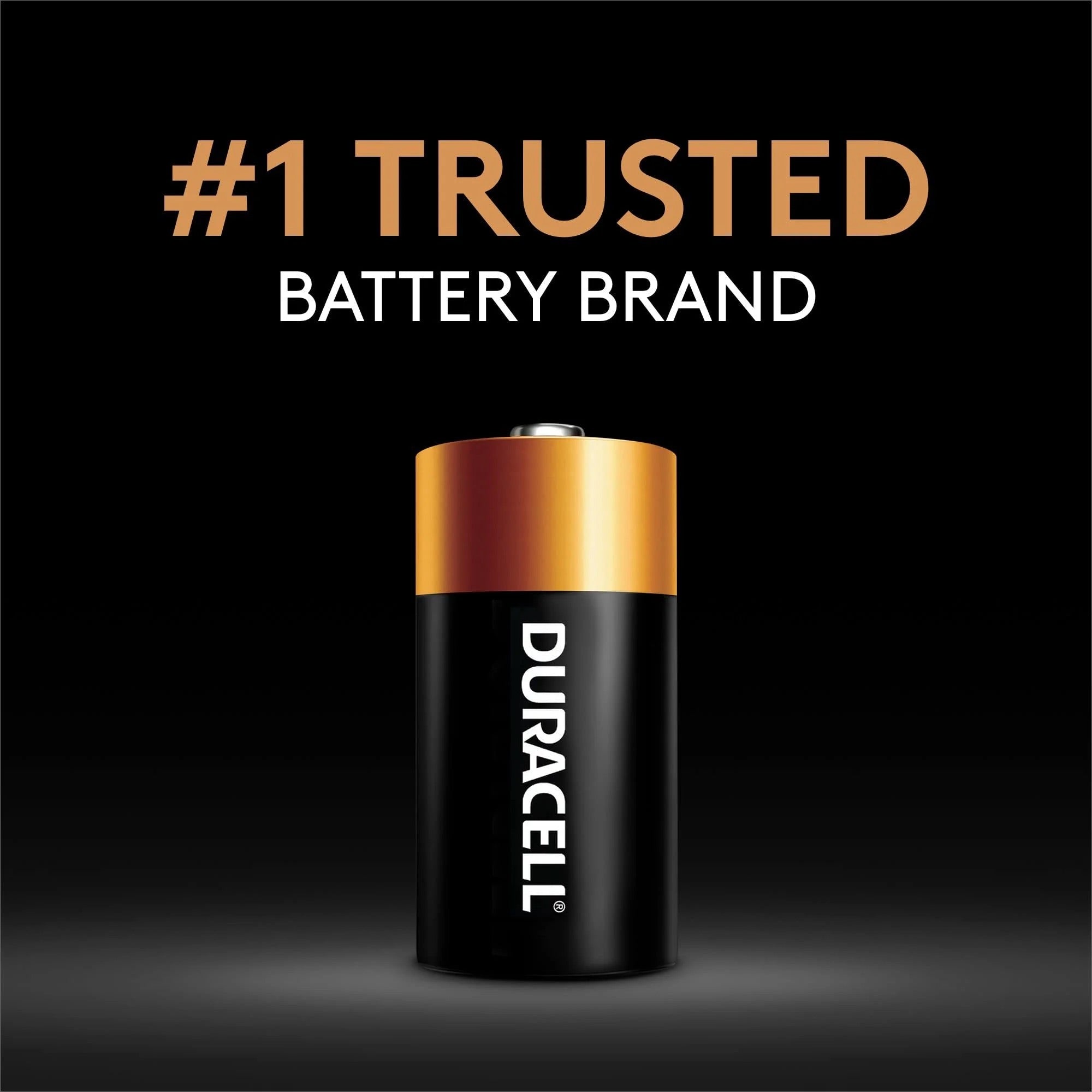 Duracell C Batteries LR14 2pk