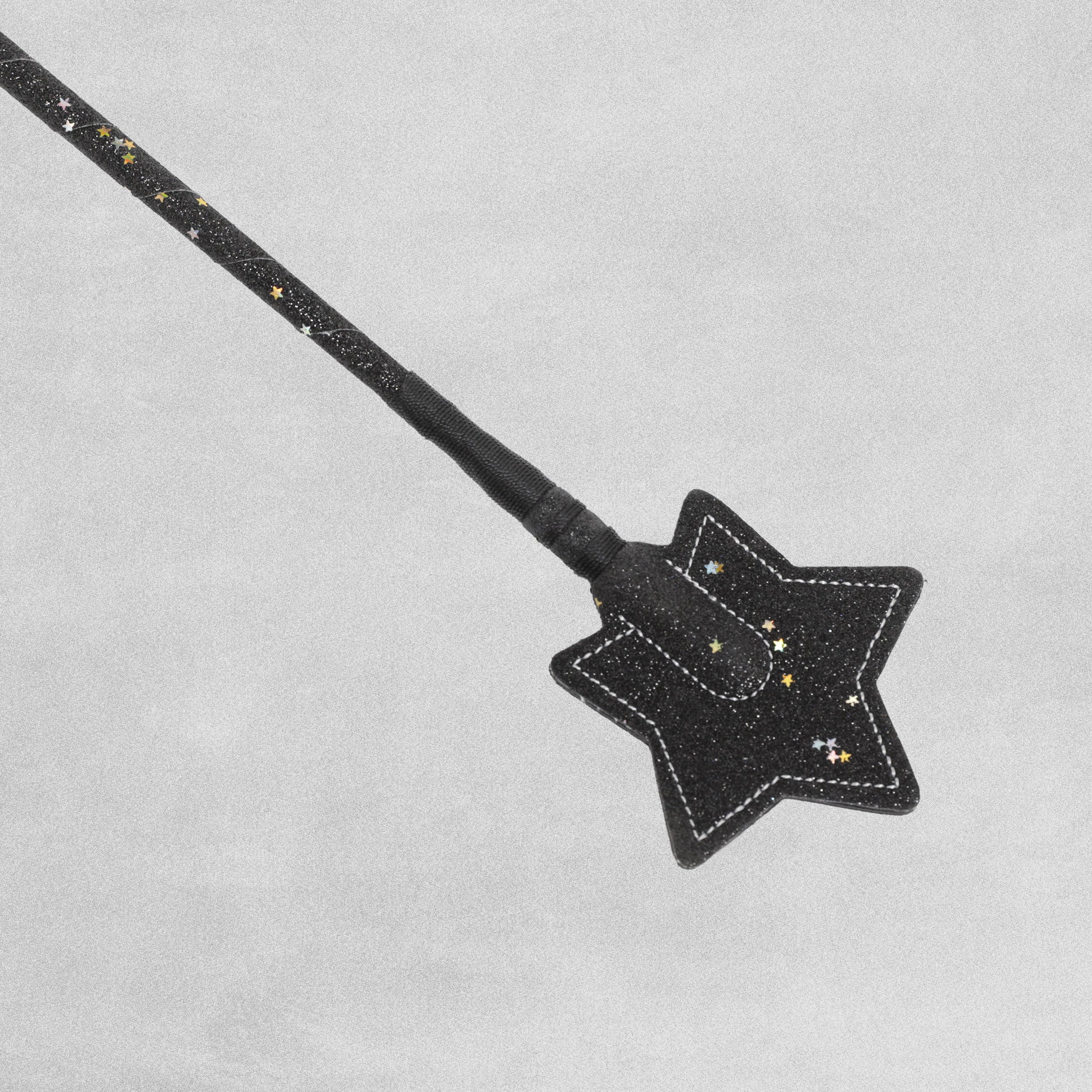 Edward Goddard Riding Whip - Assorted Design & Colour