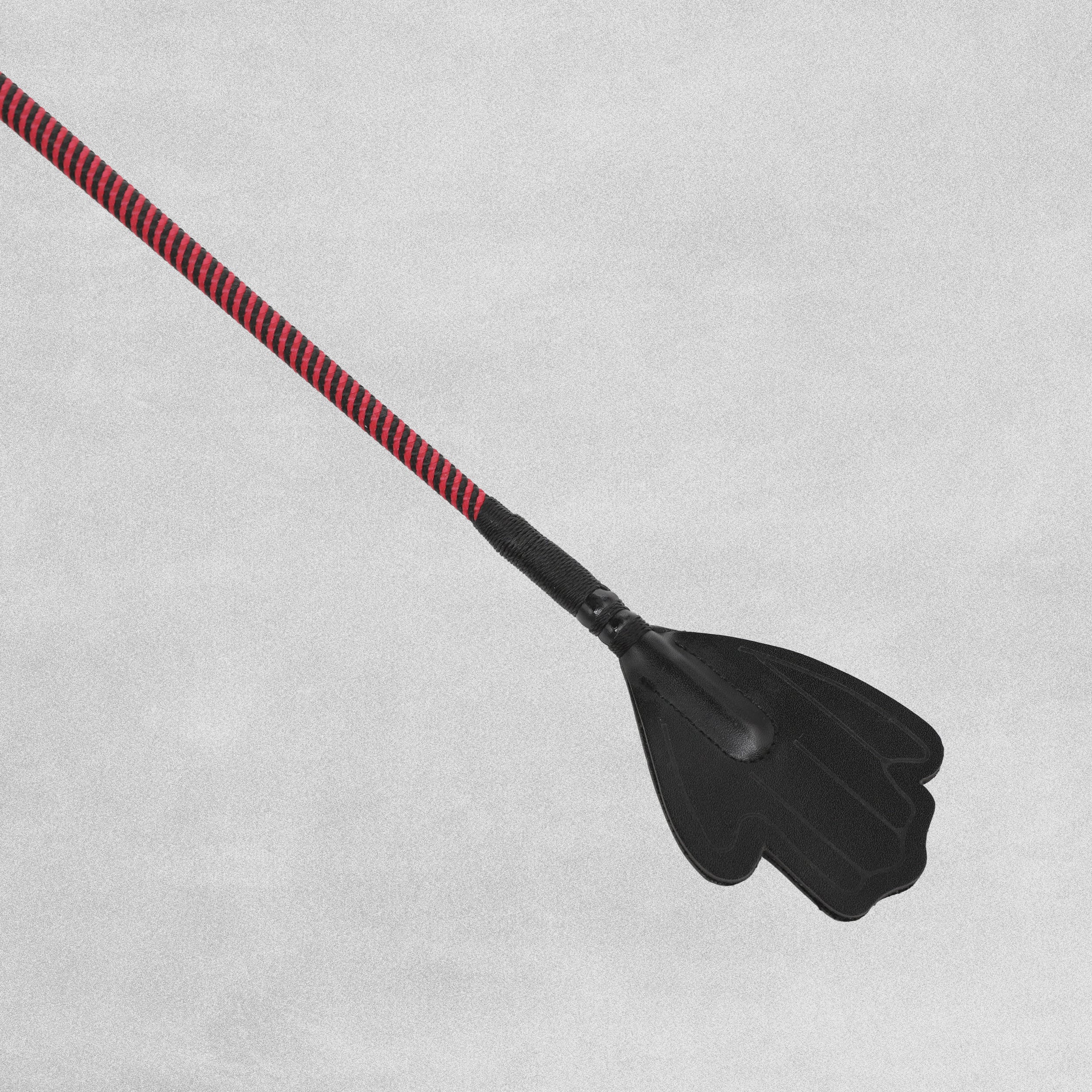 Edward Goddard Riding Whip - Assorted Design & Colour