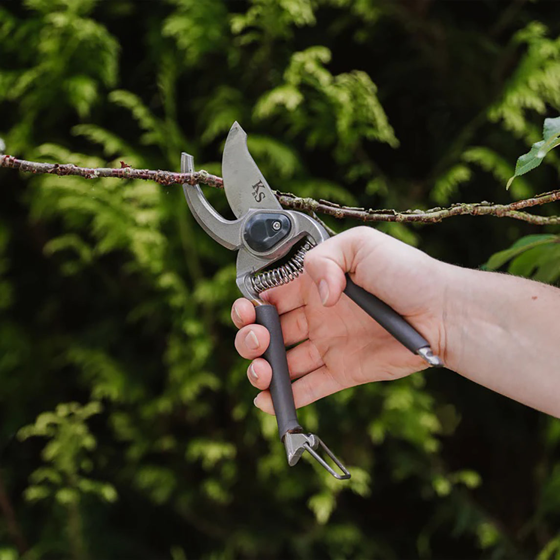 Kent & Stowe Traditional All Purpose Bypass Secateurs