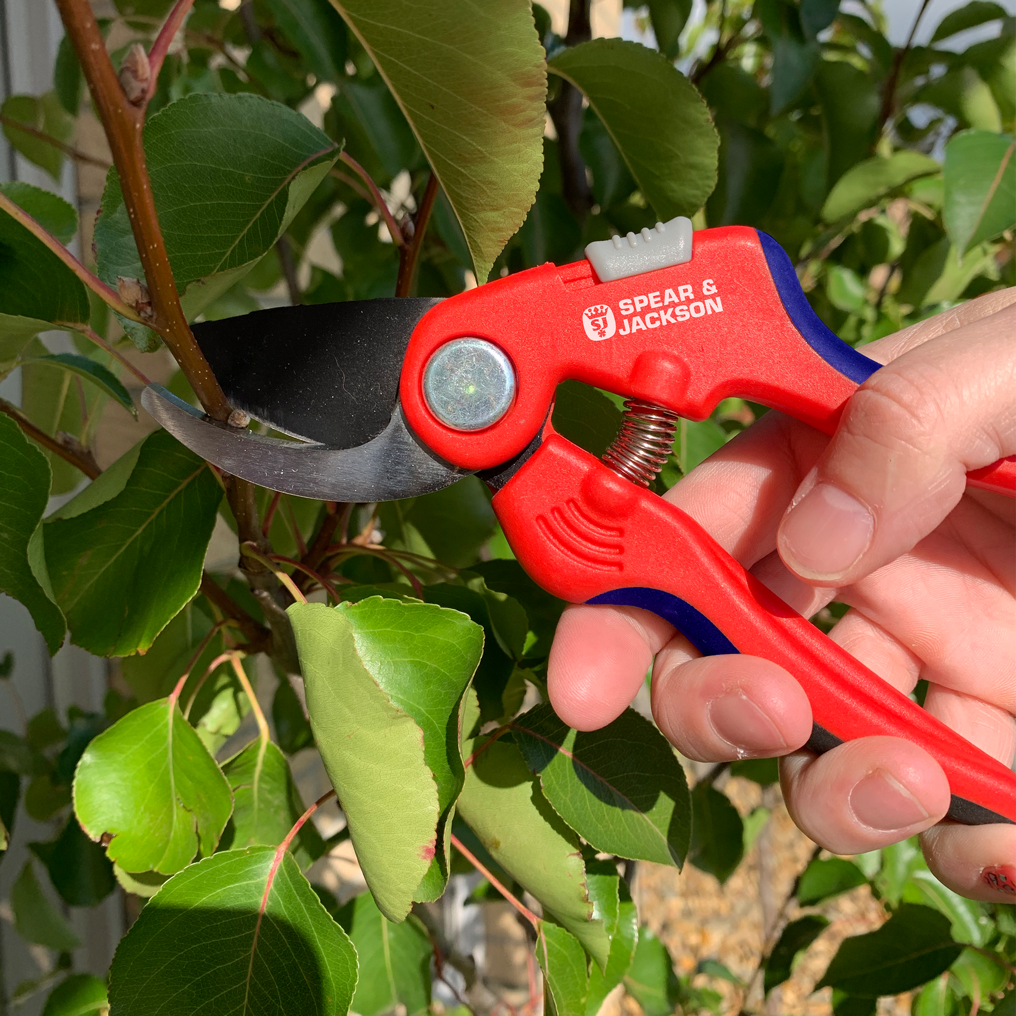 Spear & Jackson Bypass Secateurs