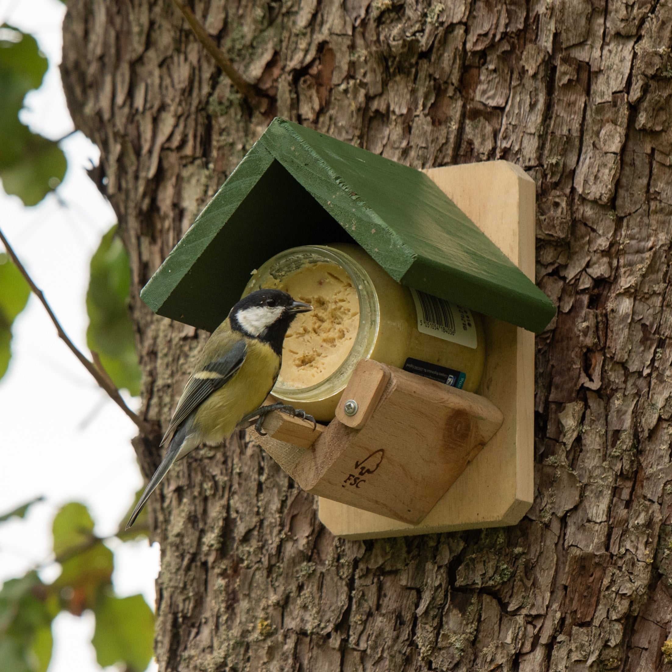 National Trust Peanut Butter with Insects for Birds
