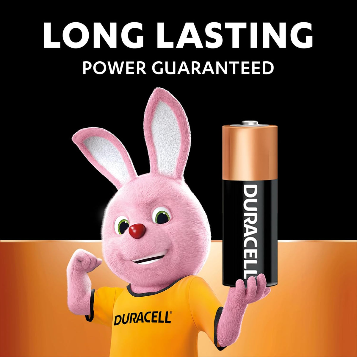 Duracell MN21/A23 12V Alkaline Battery 2Pk