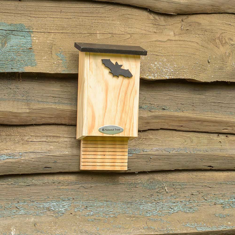 CJ Wildlife Glamis Bat Roosting Box