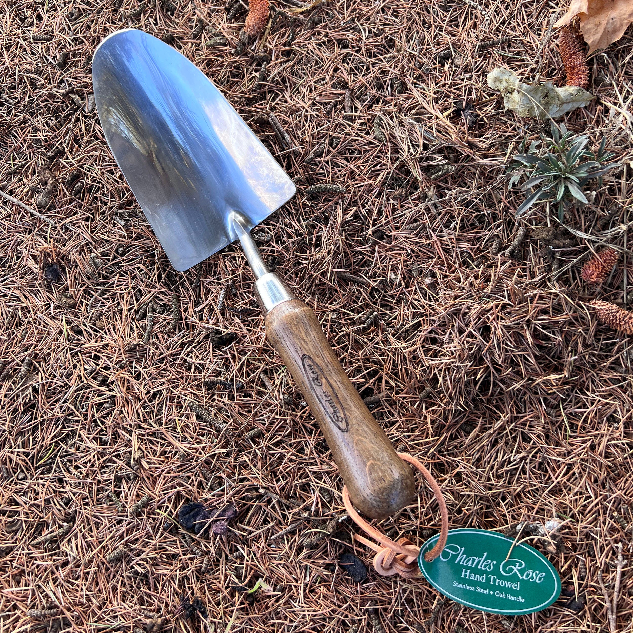 Charles Rose Stainless Steel Hand Trowel- Oak Handle