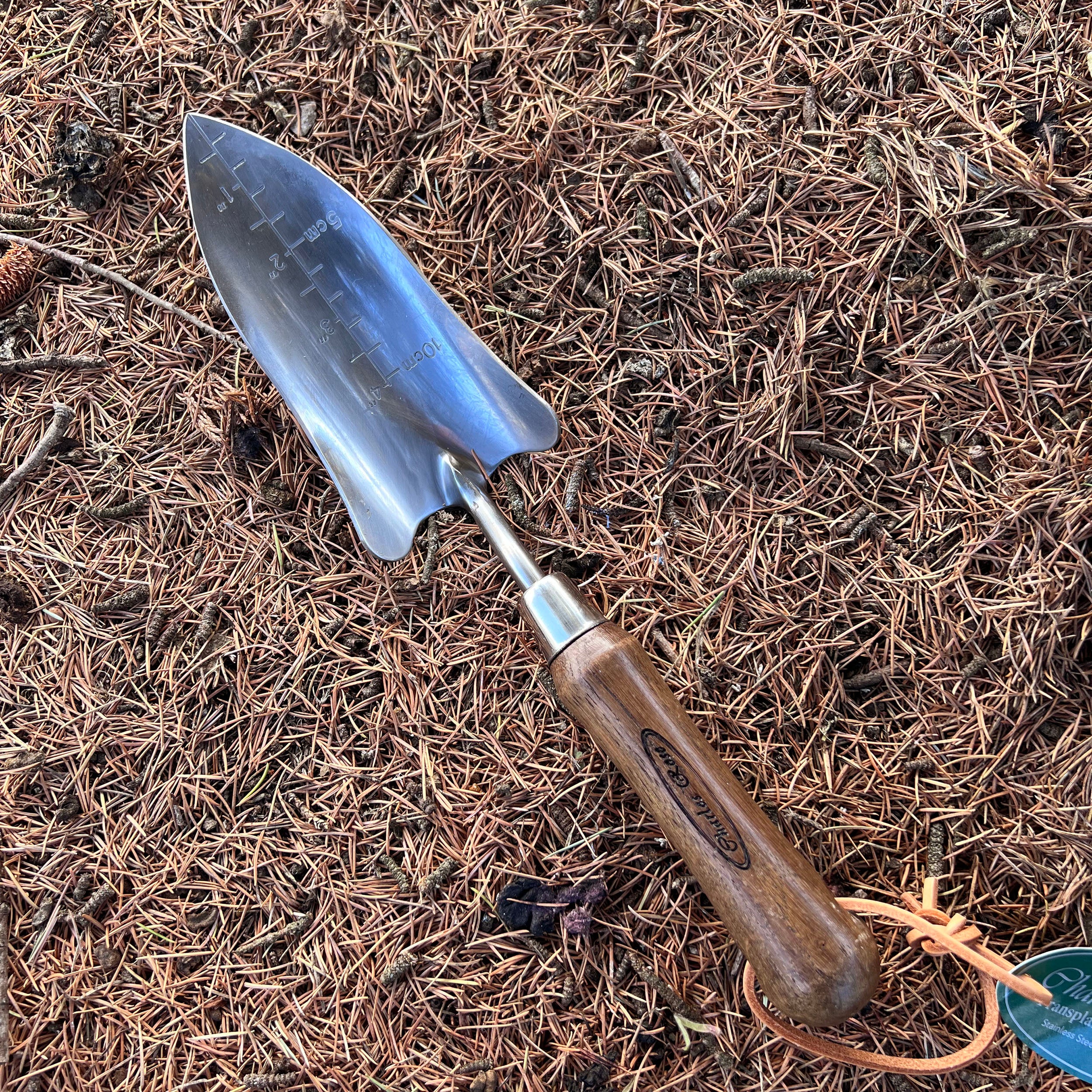 Charles Rose Stainless Steel Transplanting Trowel Oak Handle