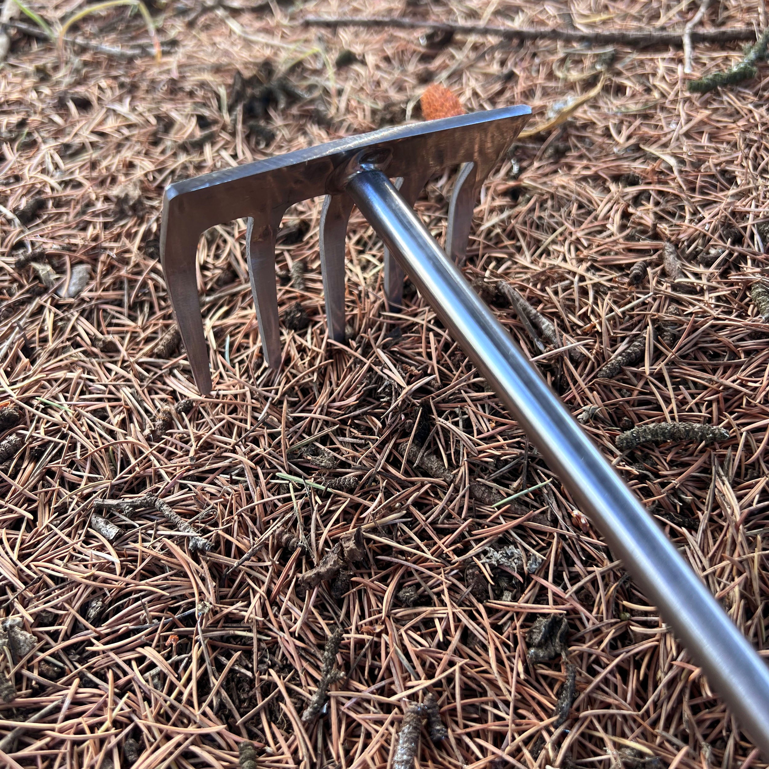 Charles Rose Stainless Steel Hand Rake - Oak Handle