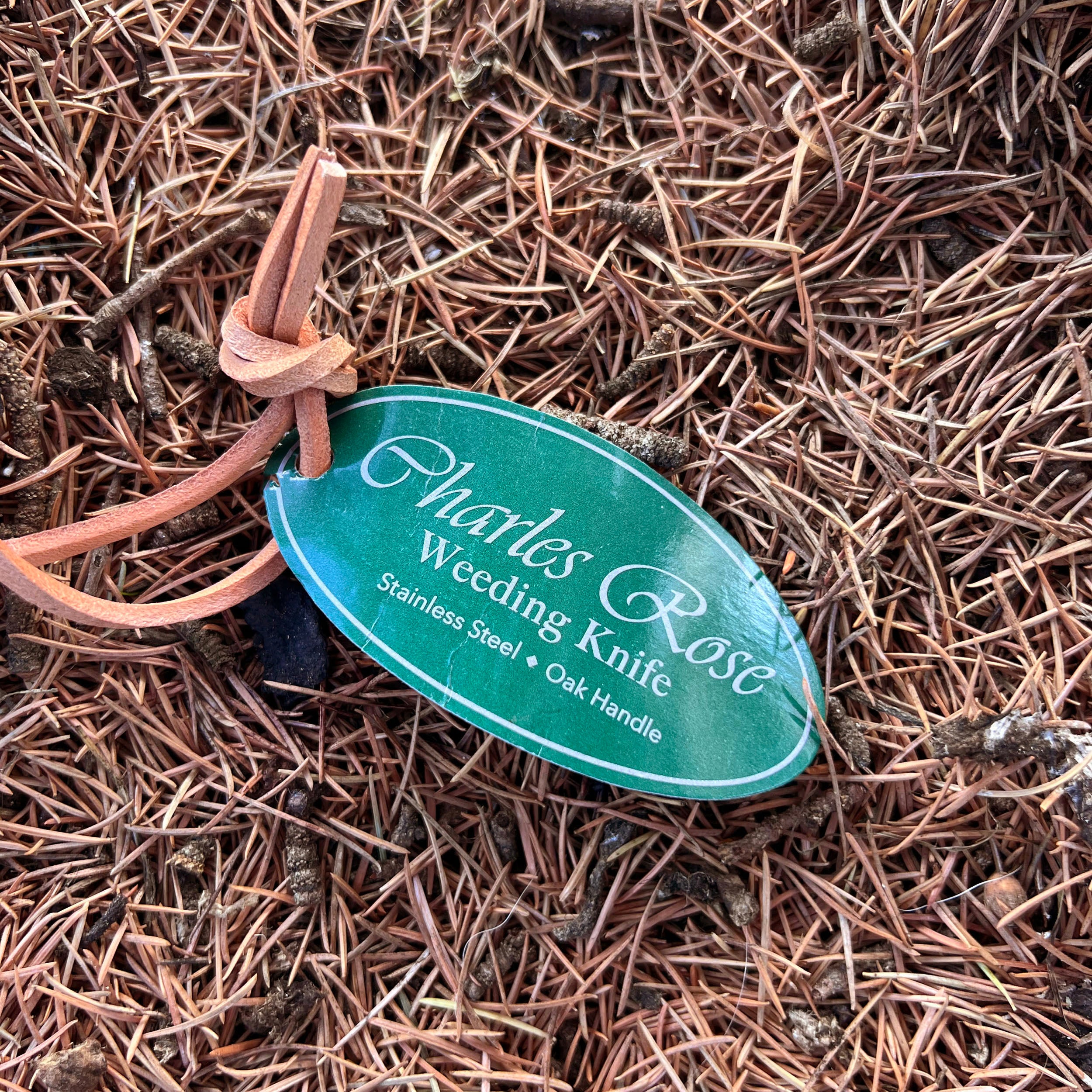 Charles Rose Stainless Steel Weeding Knife - Oak Handle