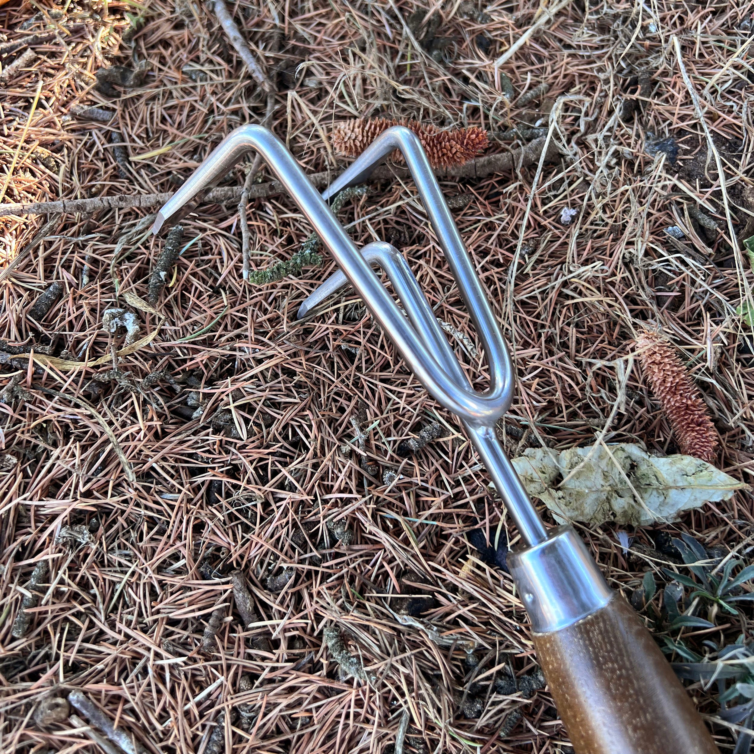 Charles Rose Stainless Steel Fork Long Handled - Ash Handle