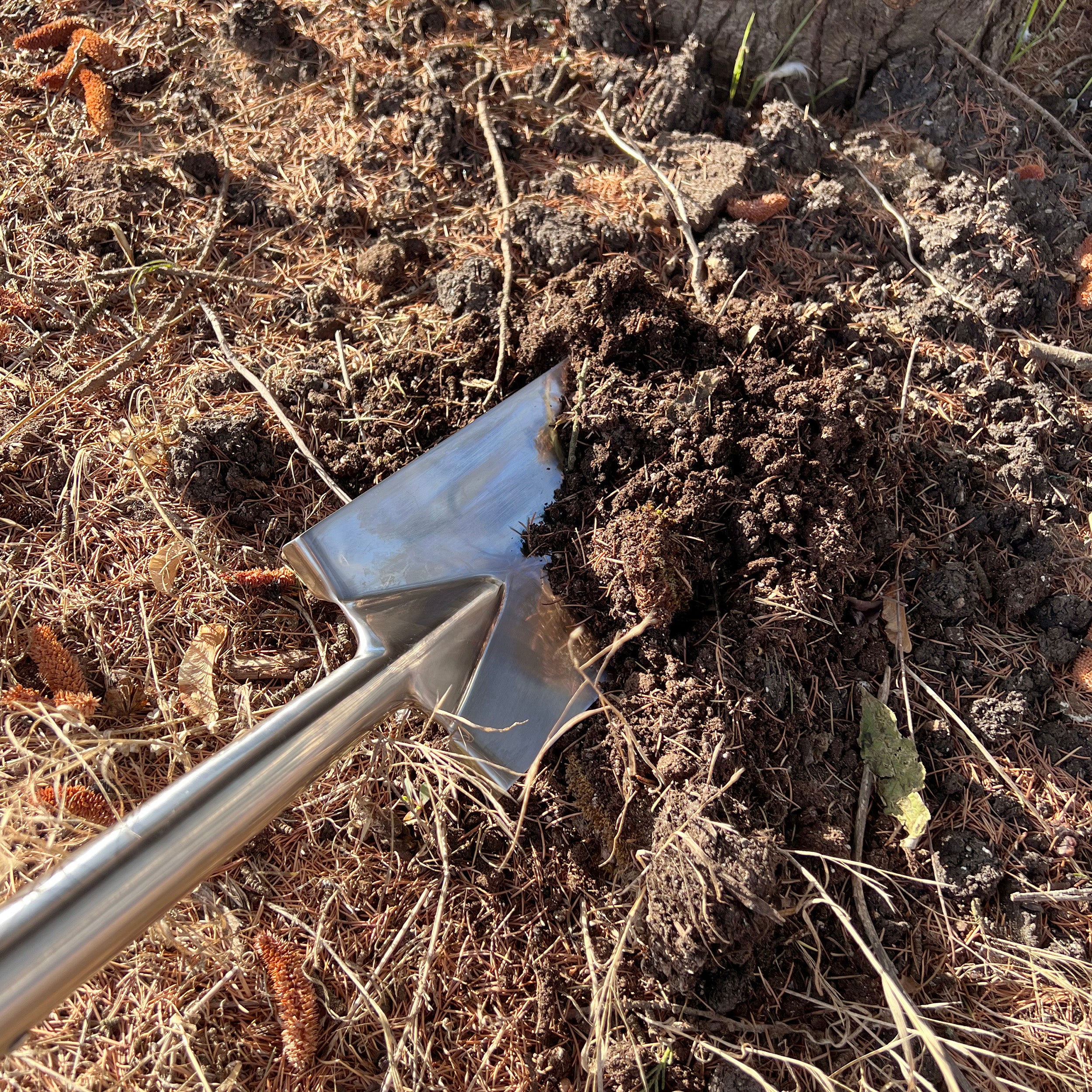 Charles Rose Soft Grip Stainless Steel Digging Spade Ash Handle