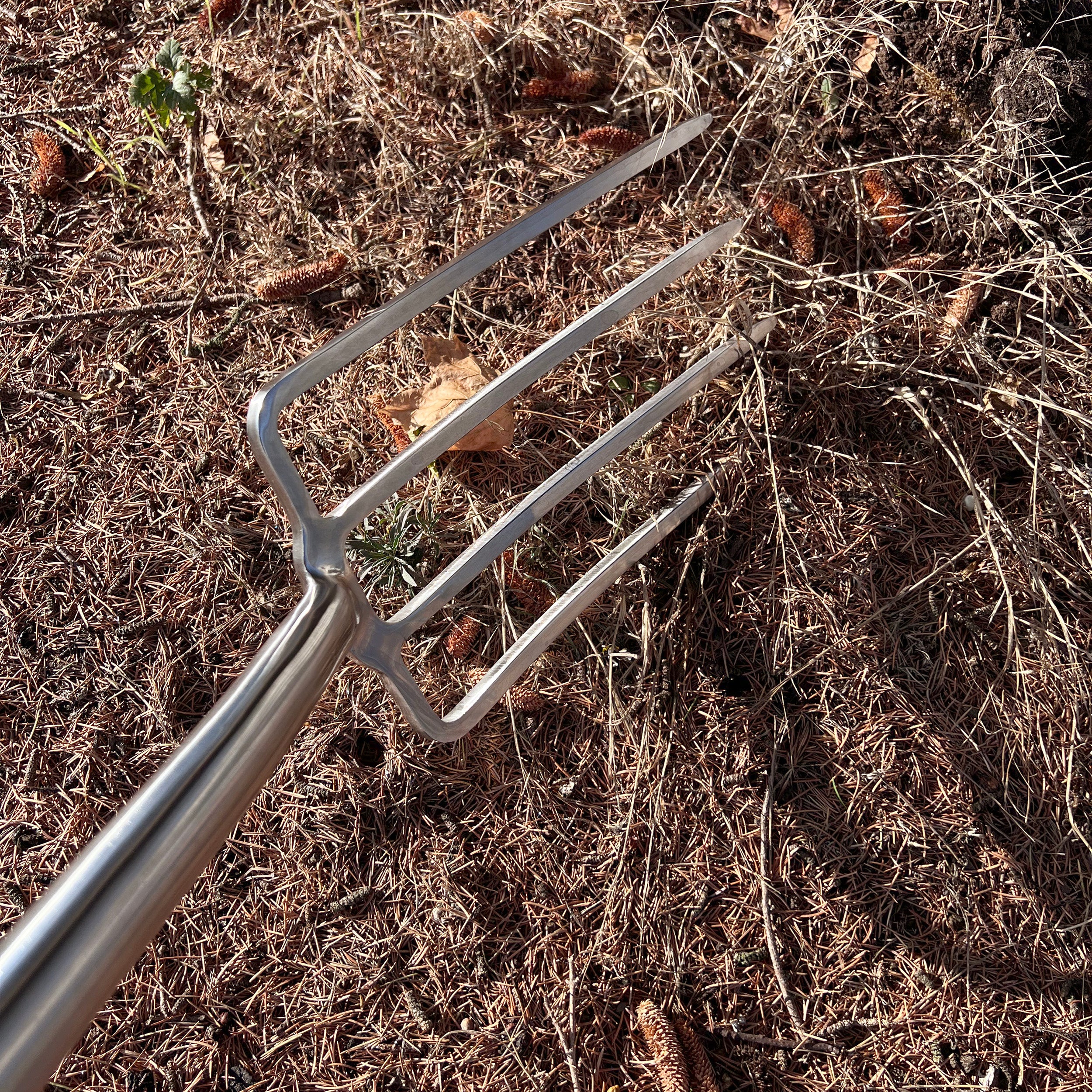 Charles Rose Soft Grip Stainless Steel Border Fork