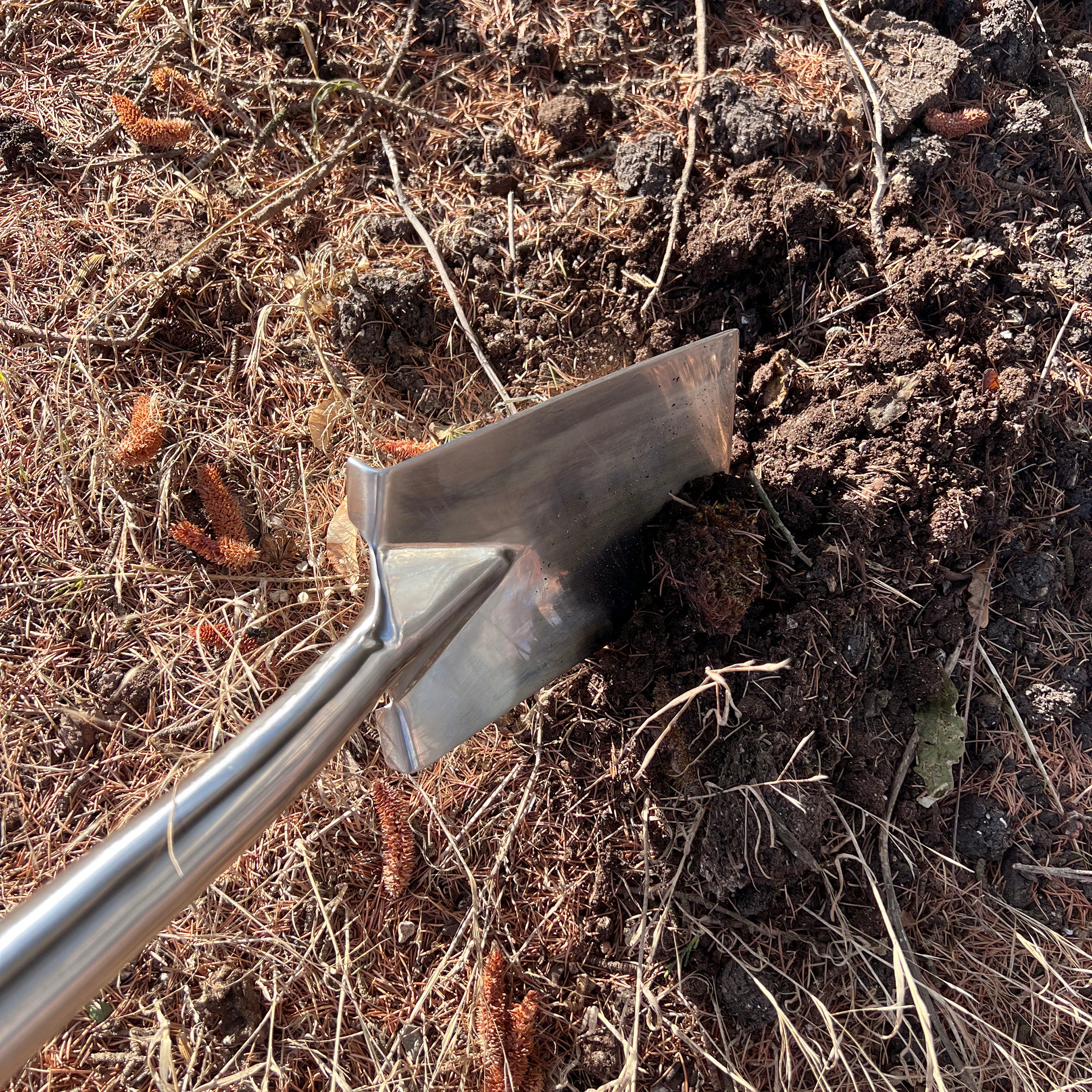 Charles Rose  Stainless Steel Border Spade