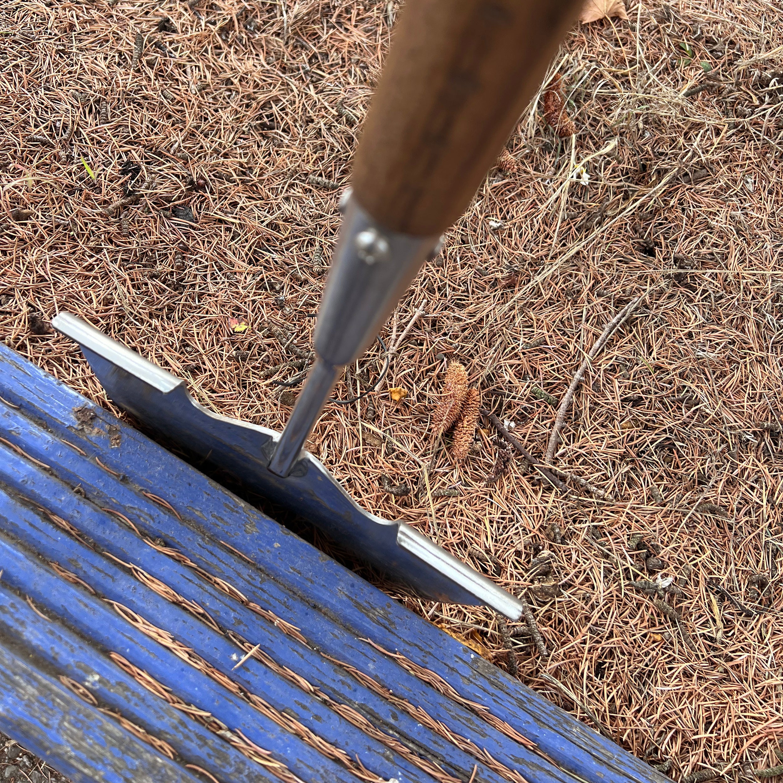 Charles Rose Stainless Steel Lawn Edger - Ash Handle