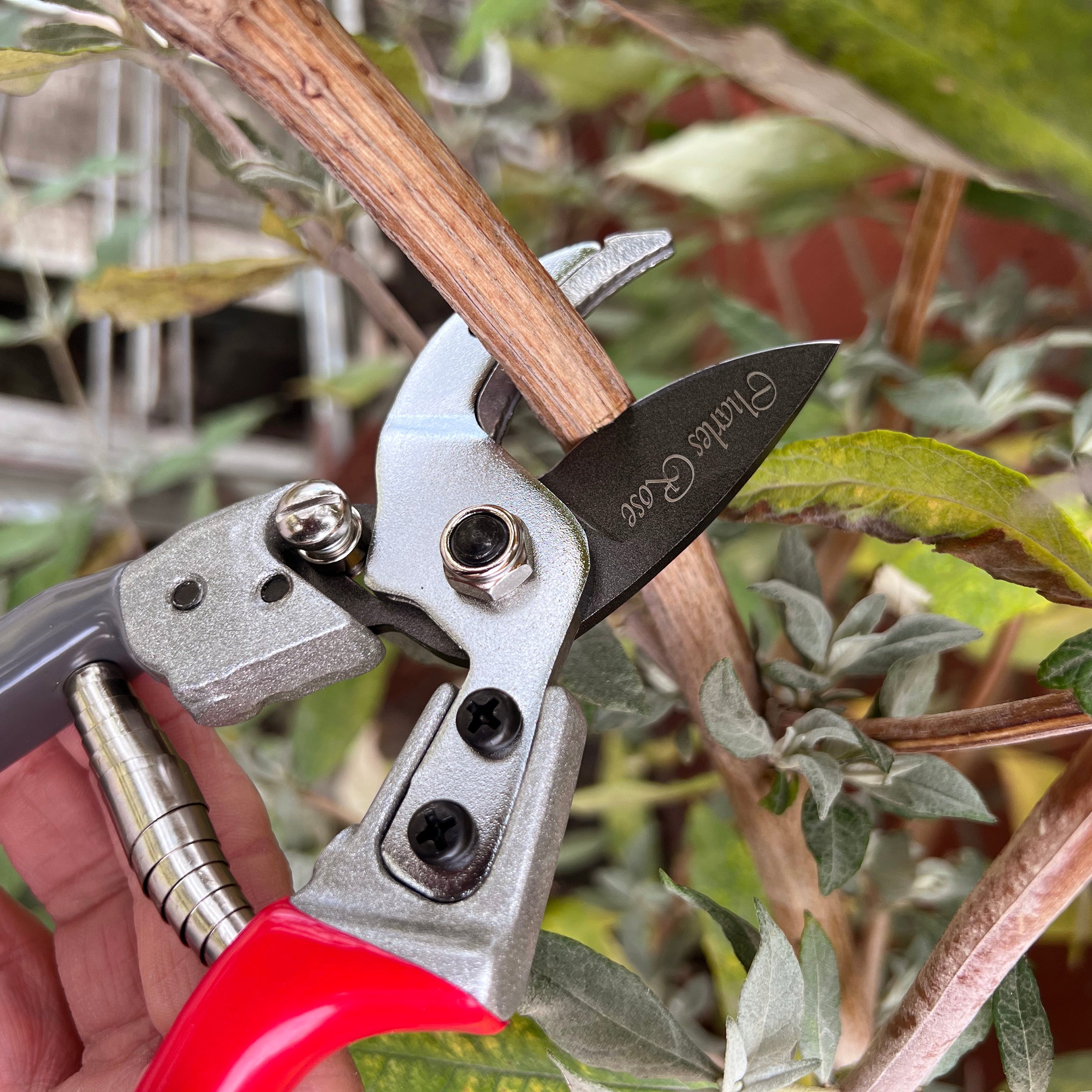 Charles Rose Anvil Secateurs 22mm Cutting Diameter