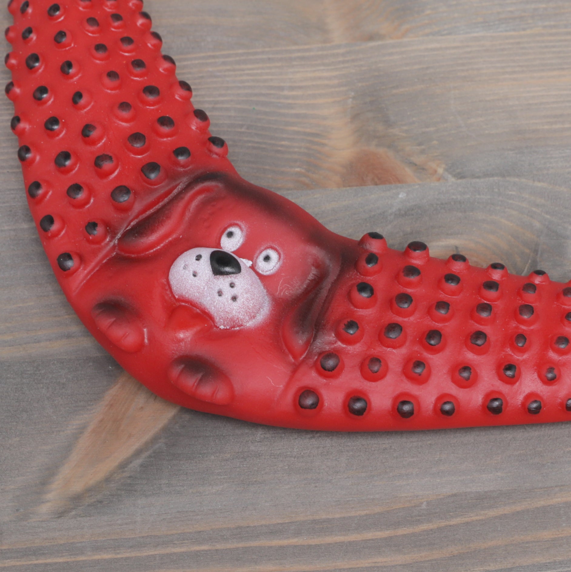 Pet Parlour Boomerang Pet Toy - Colours may Vary