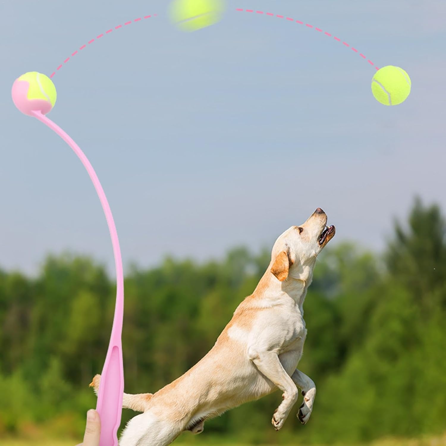 Pet Touch Doggy Ball Launcher