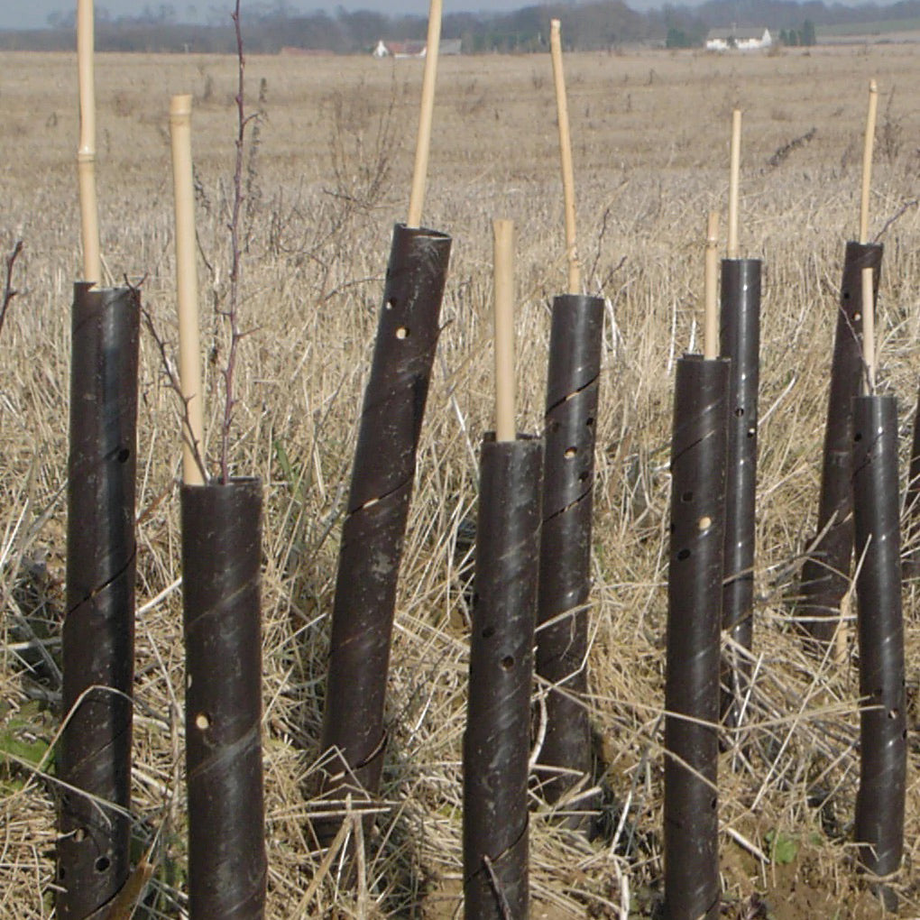 Down to Earth Vine Spiral Tree Guard 60cm