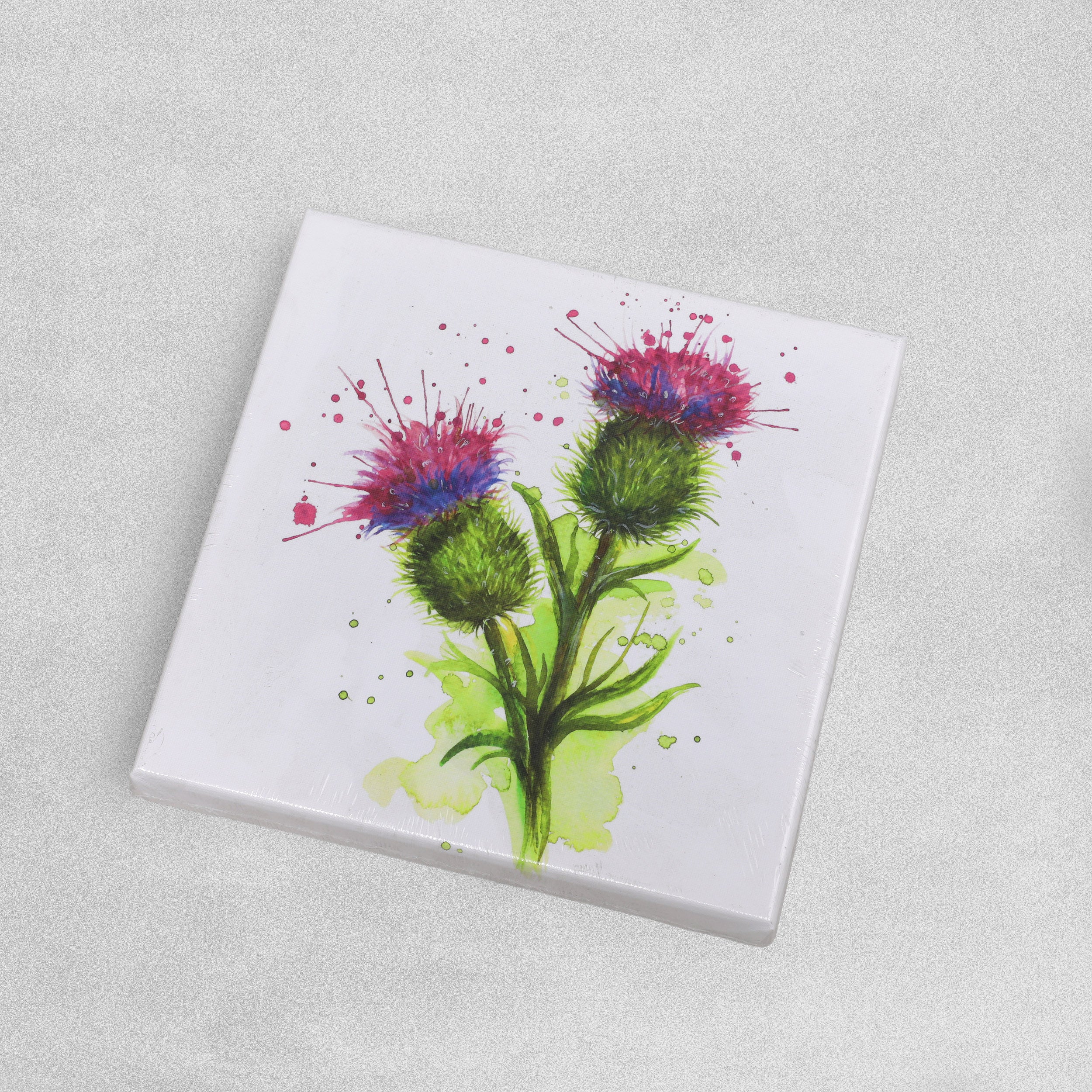 Deluxe Canvas Wall Art - Various Designs