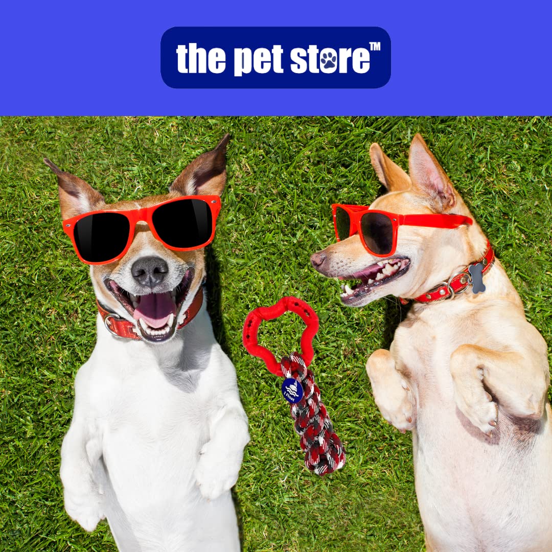 The Pet Store Fetch N Float Dog Toys - Various Designs Available