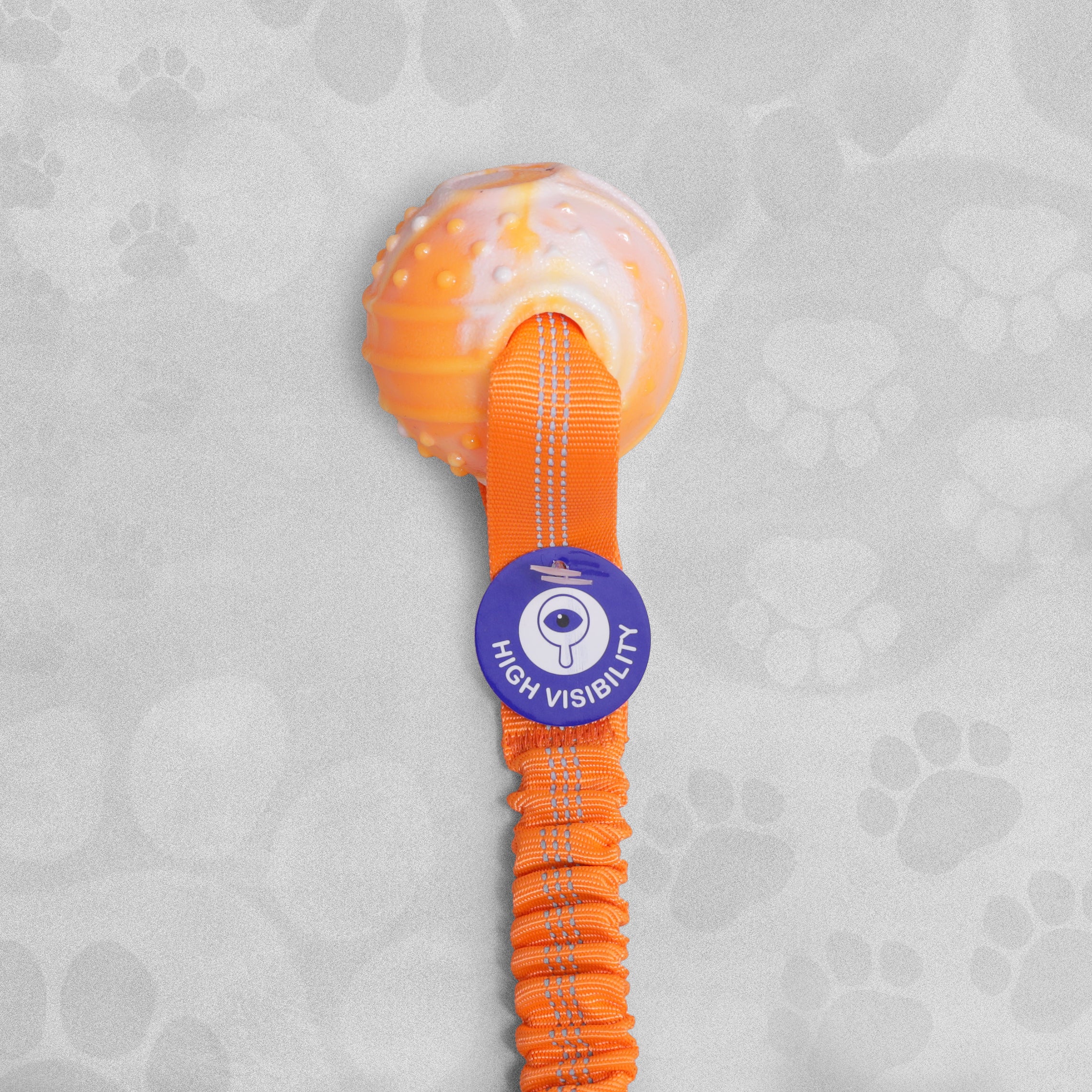 The Pet Store Bungee Ball **Mixed Colours **