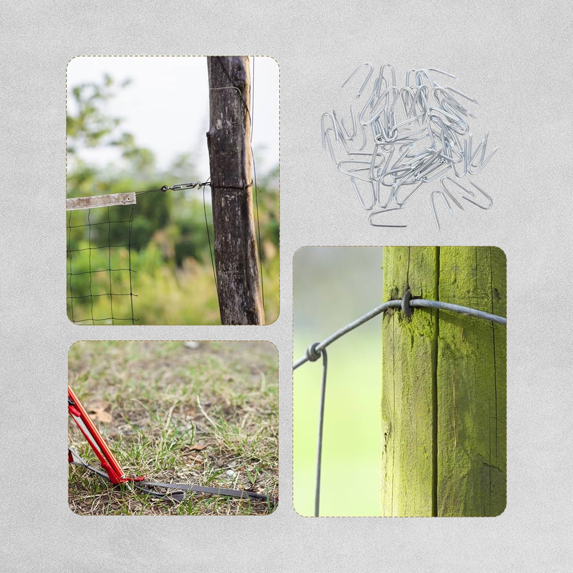 Down To Earth Garden Staples 150pcs