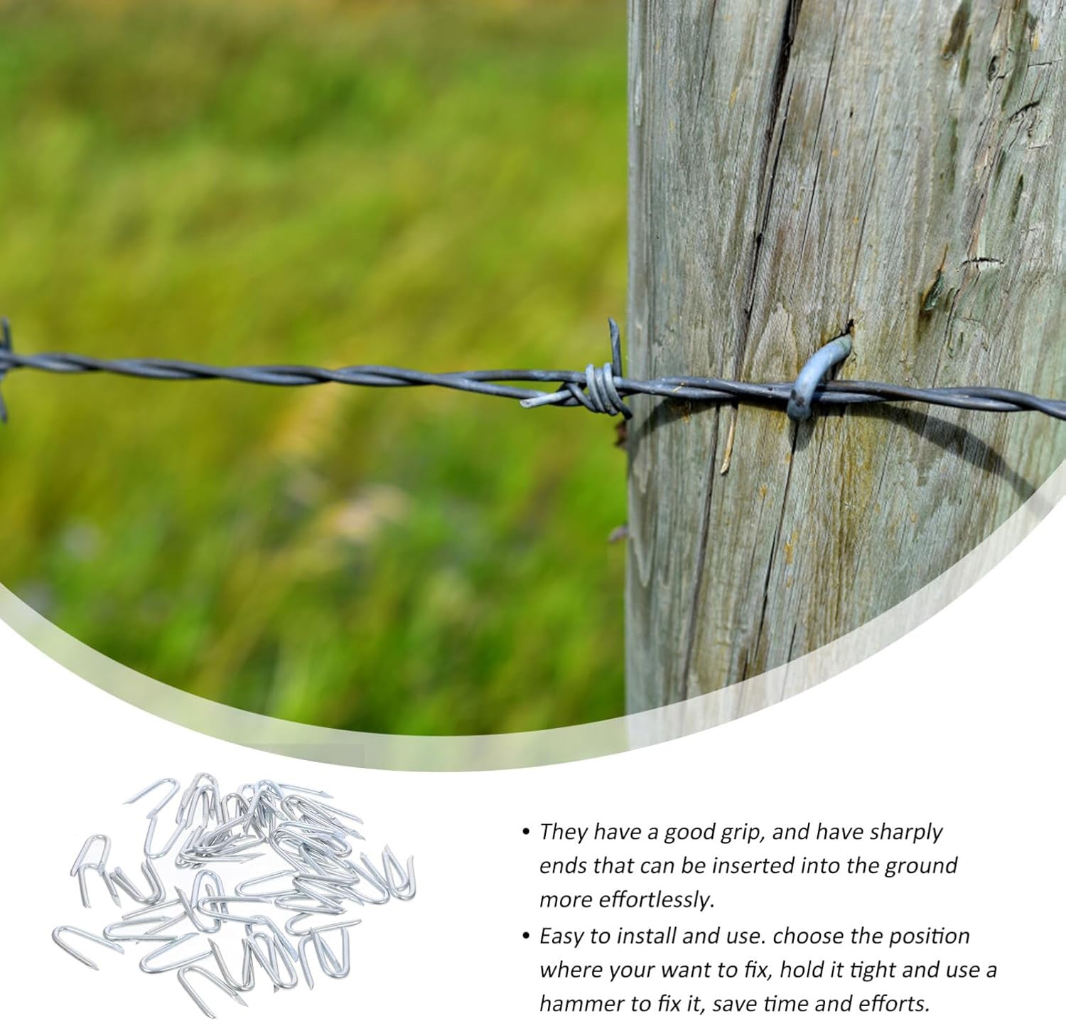 Down To Earth Garden Staples 150pcs