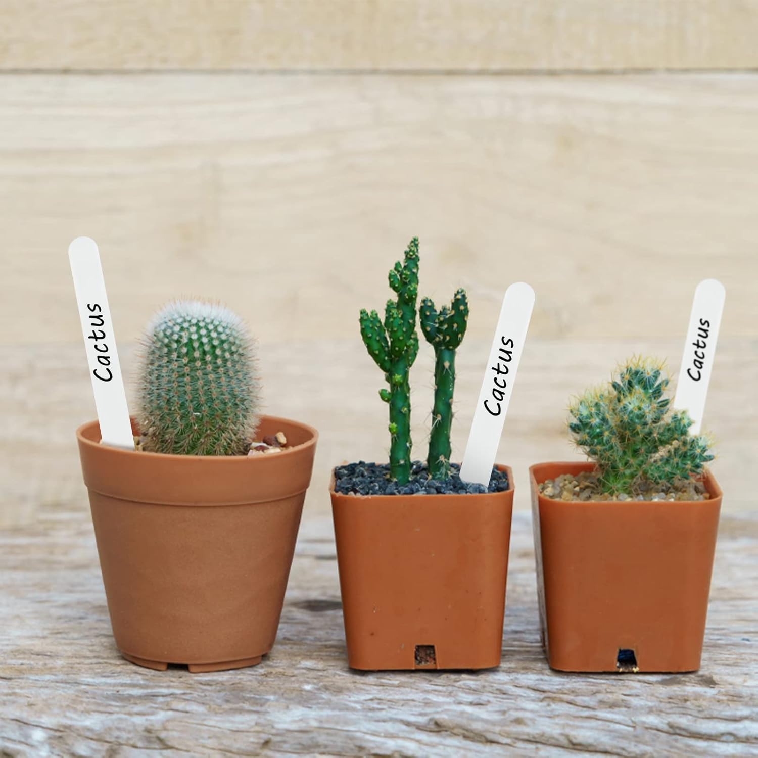 Down to Earth 15cm (6") Plant Labels Pack of 50