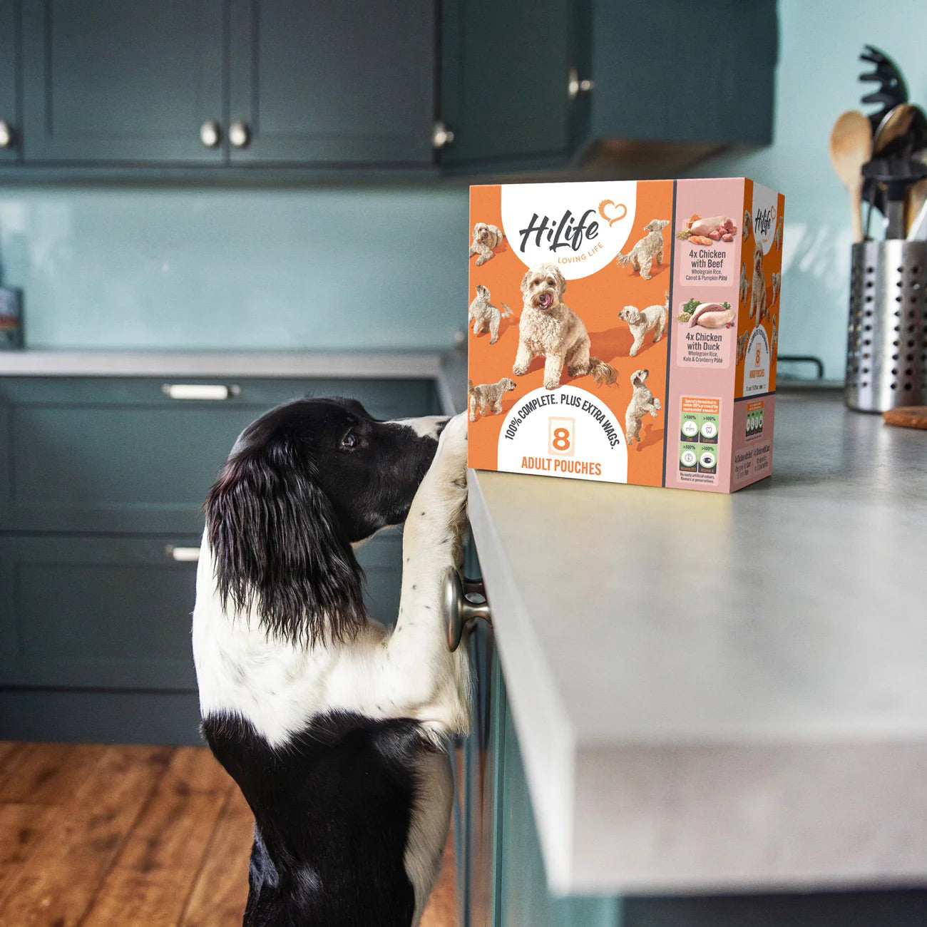 HiLife Adult Dog Food Pouches - 8pcs