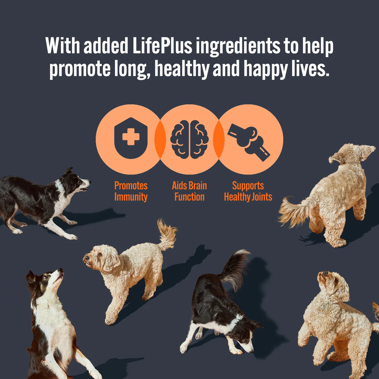 HiLife Adult Dog Food Pouches - 8pcs