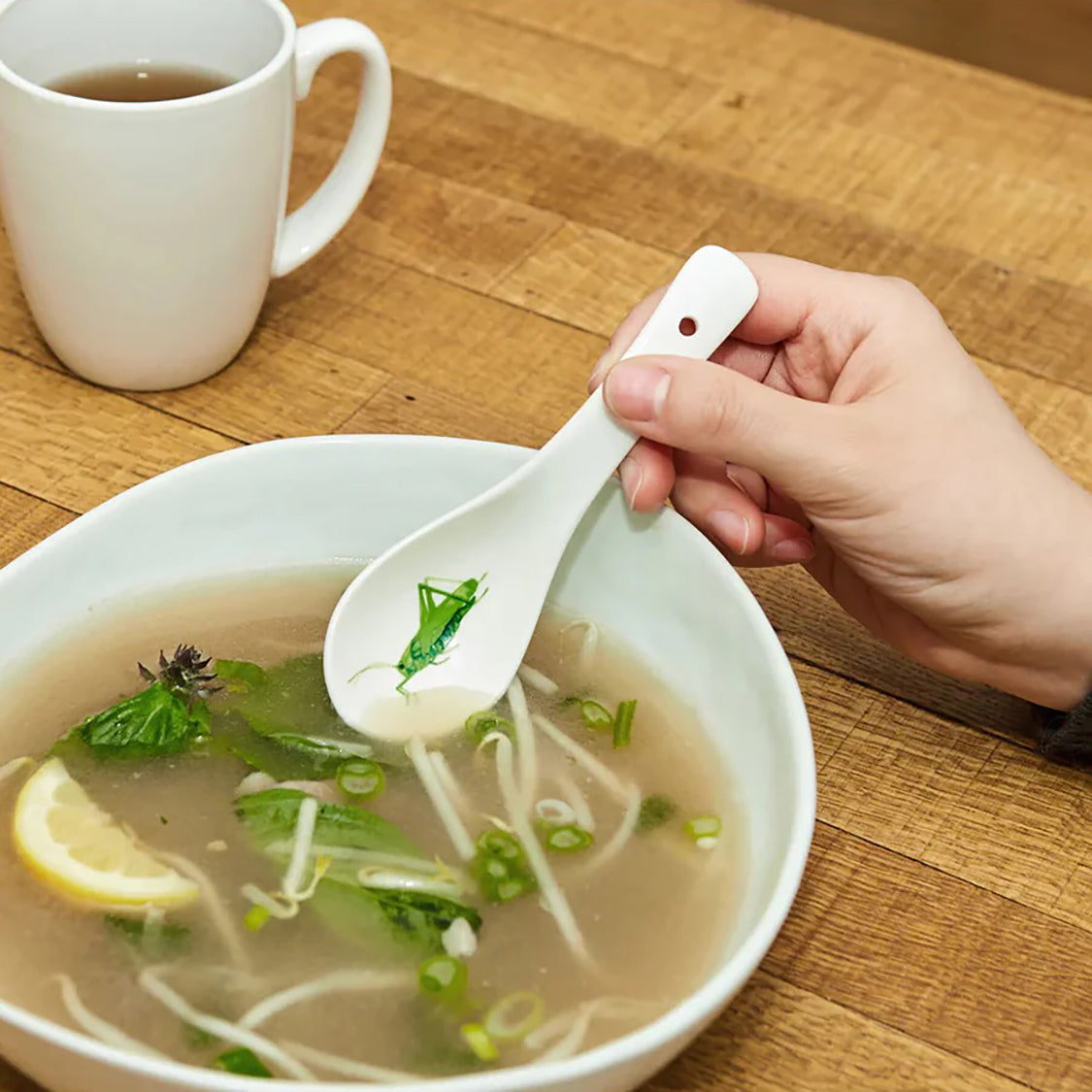 Kikkerland Ceramic Grasshopper Spoons 4pcs